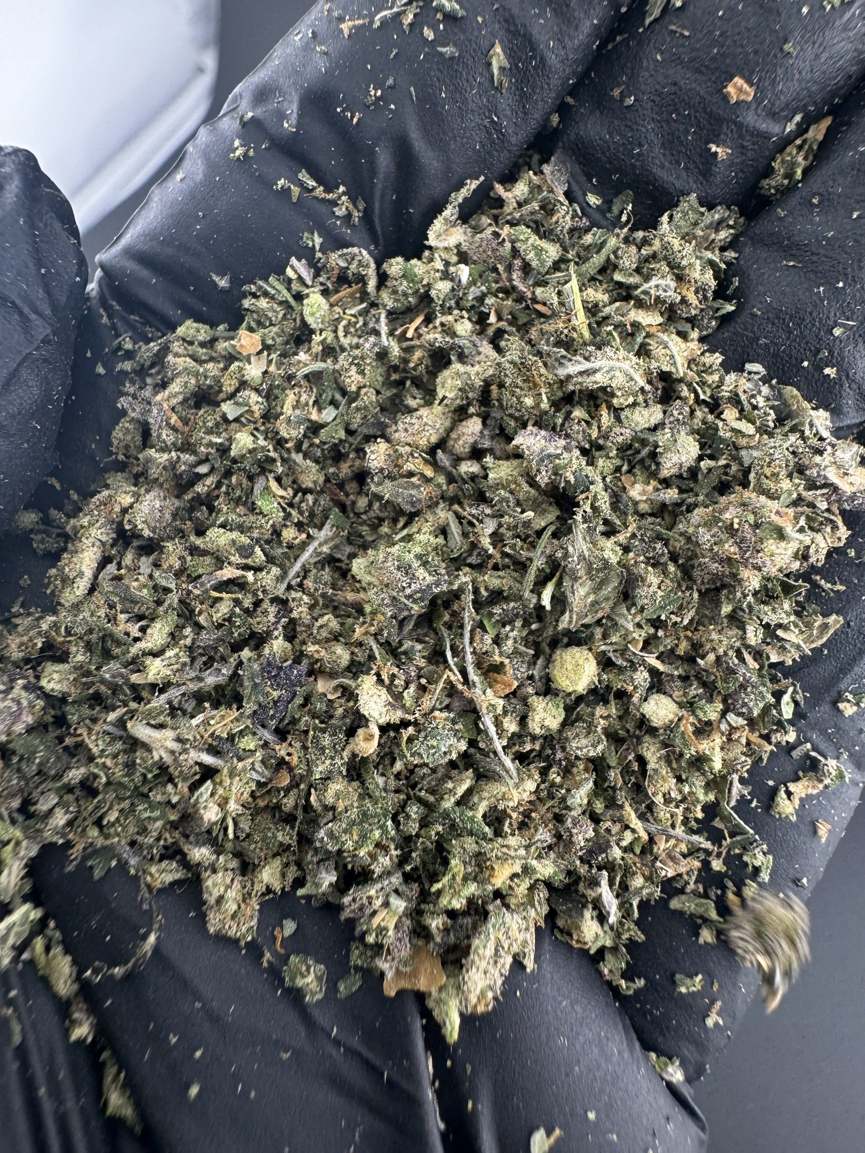 Trim Black Truffle