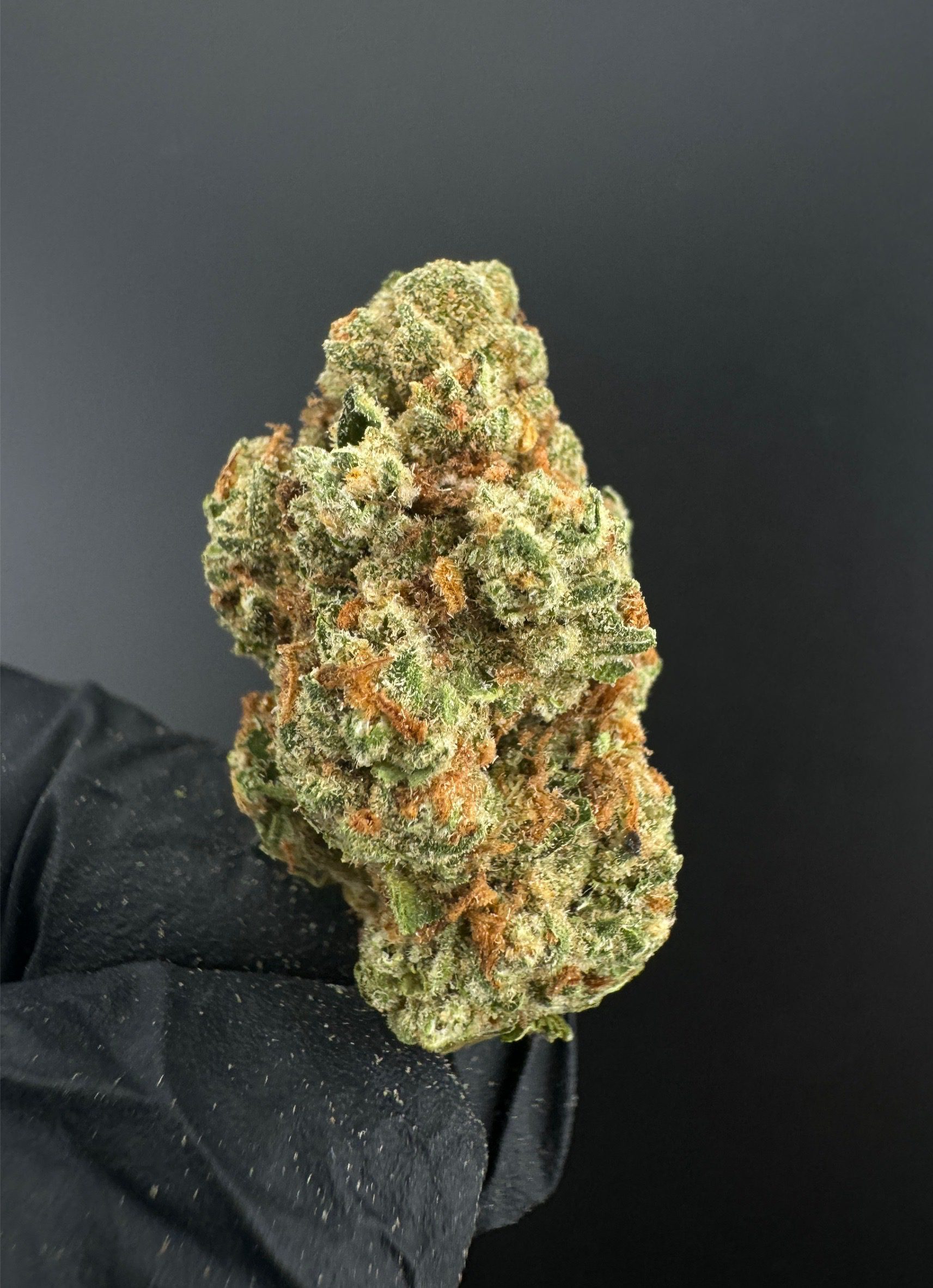 Lemon Orange