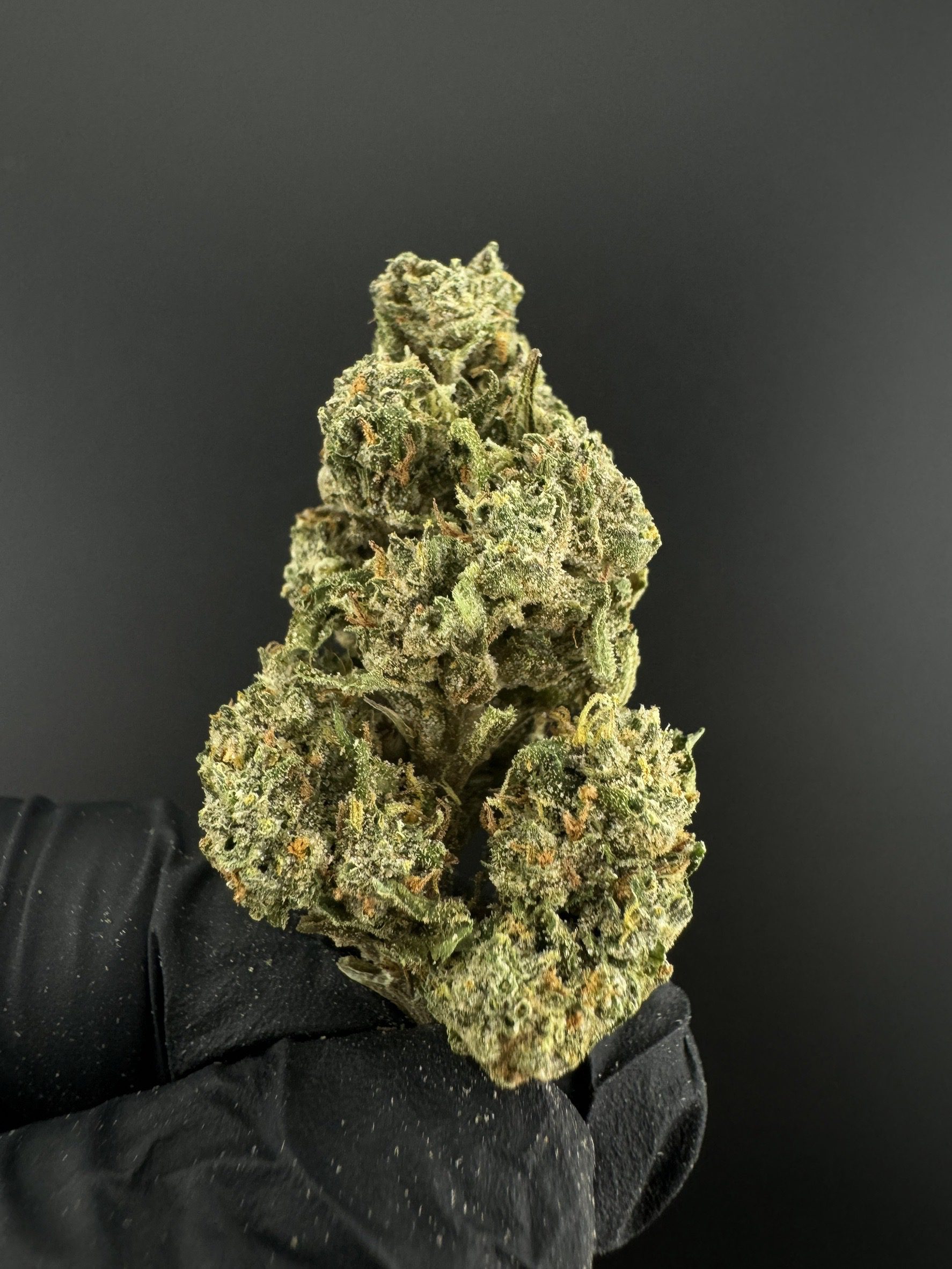 King Kush