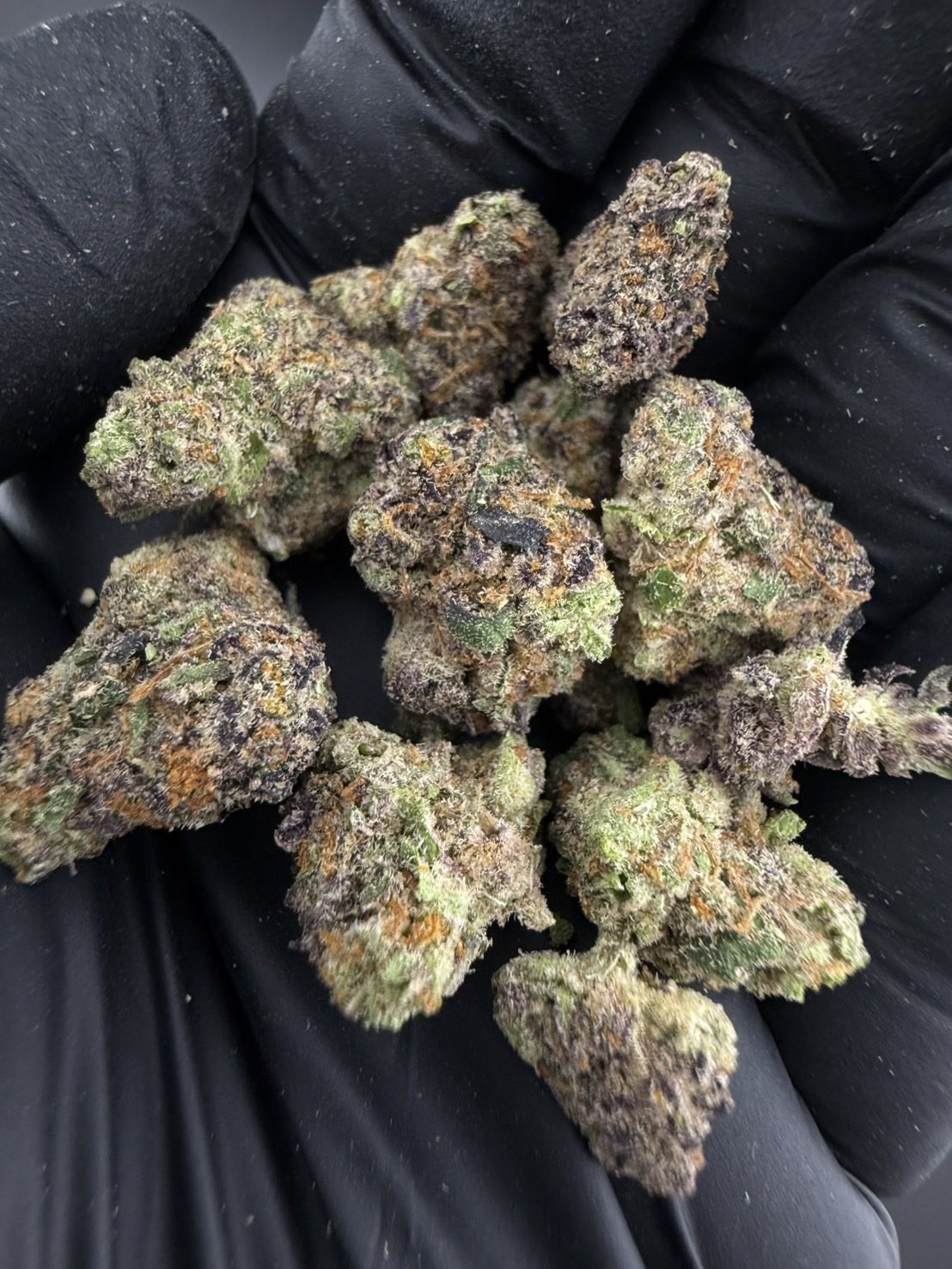 Runtz x Layer Cake