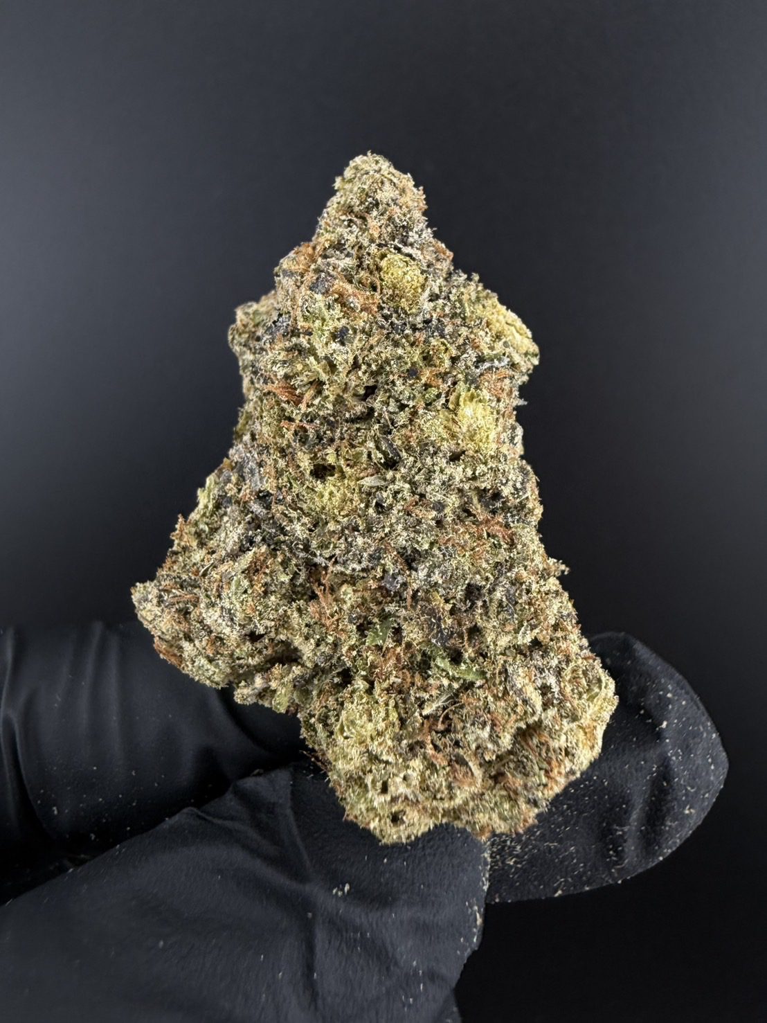 Purple Haze