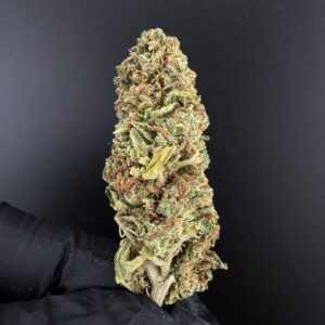 White Widow