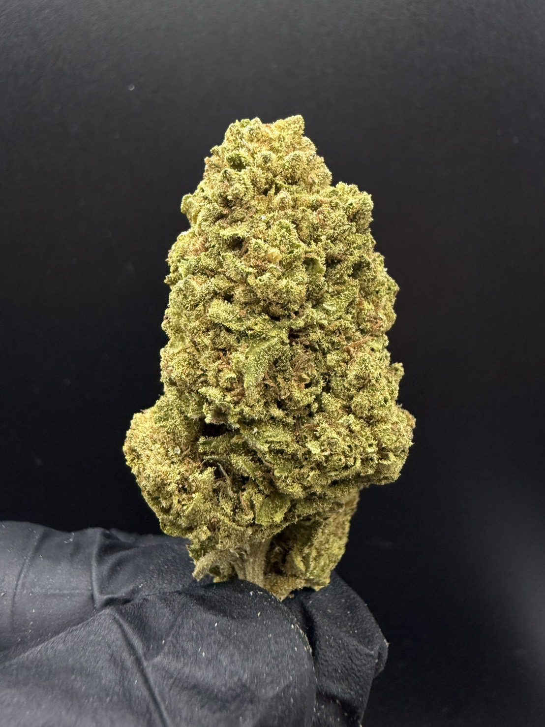 Jack Herer