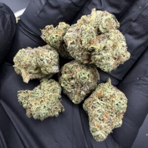 White Truffle [ Pop ]