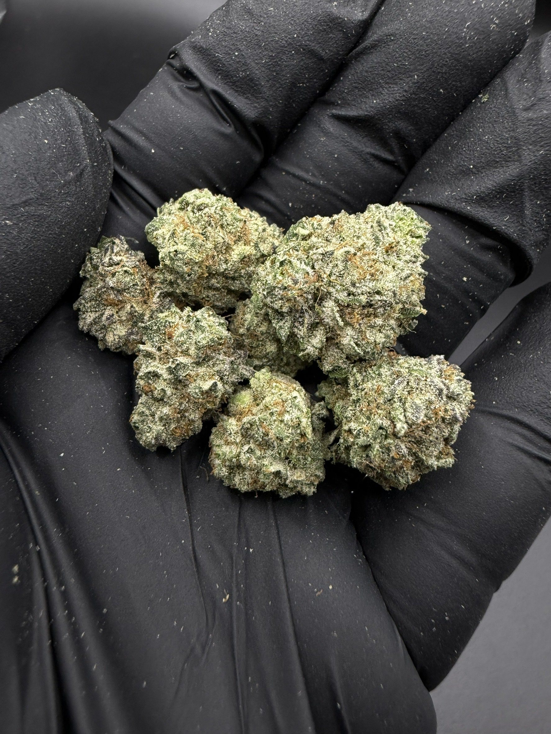 Gas Runtz