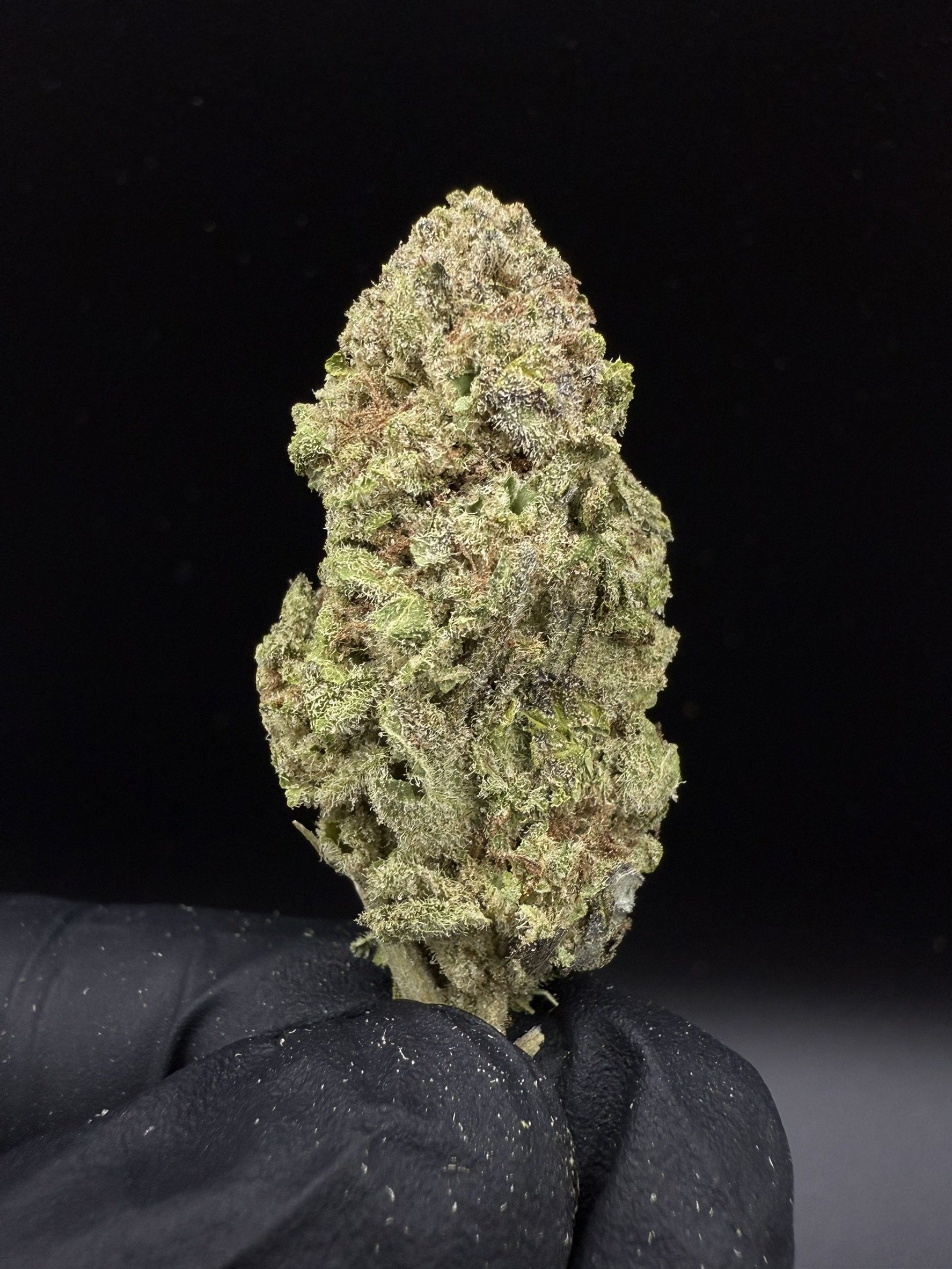 Grape Gasoline
