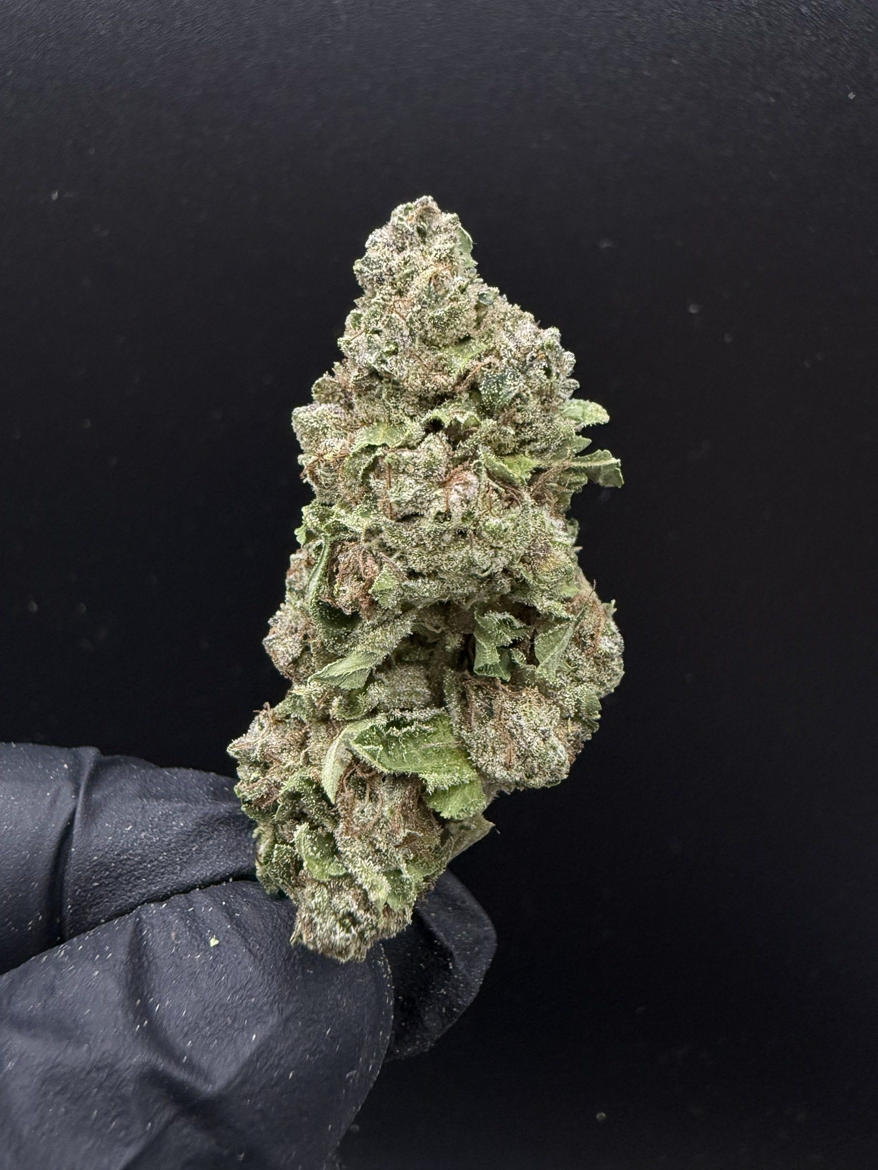 Marshmallow OG