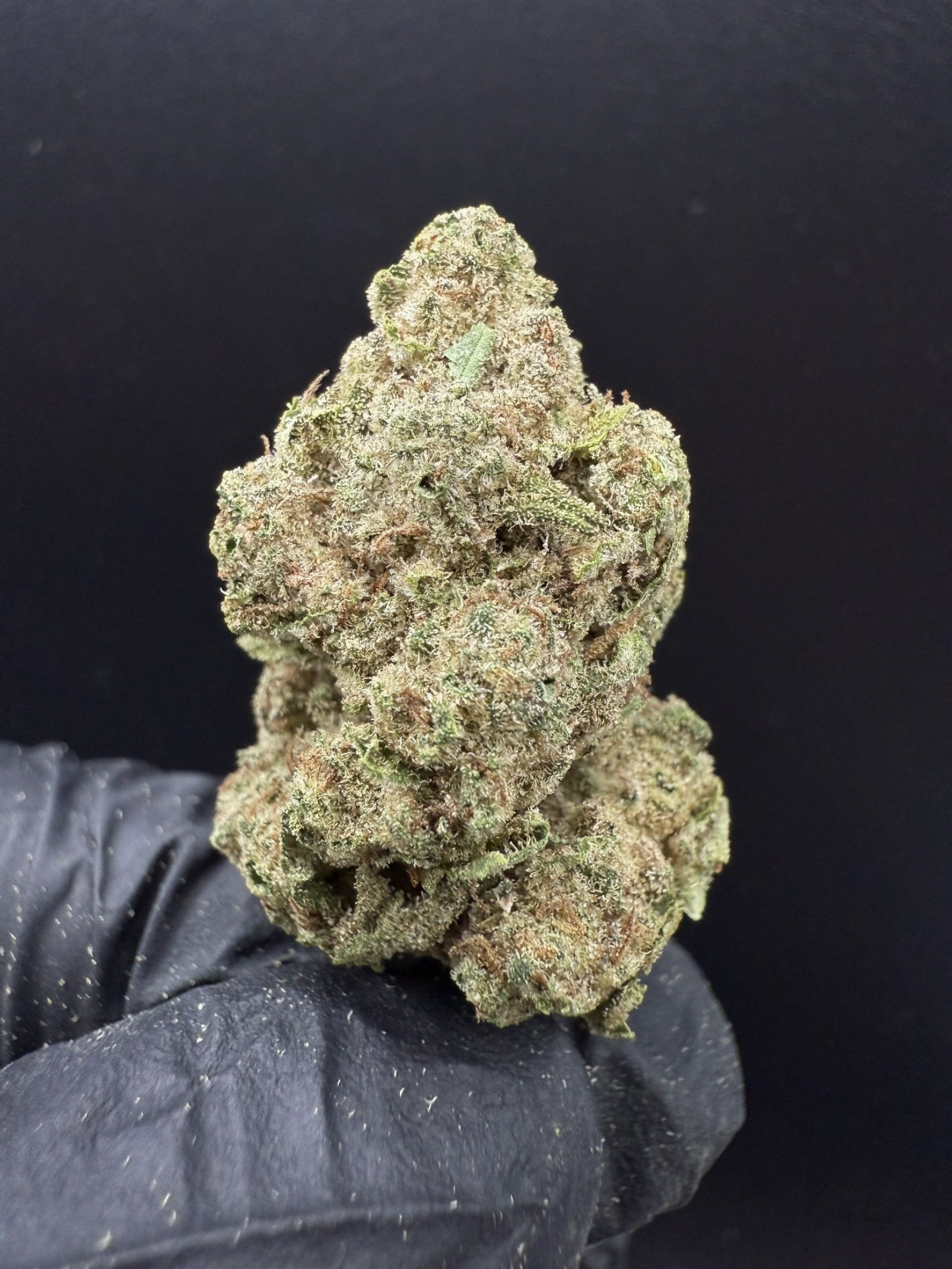 Platinum Punch