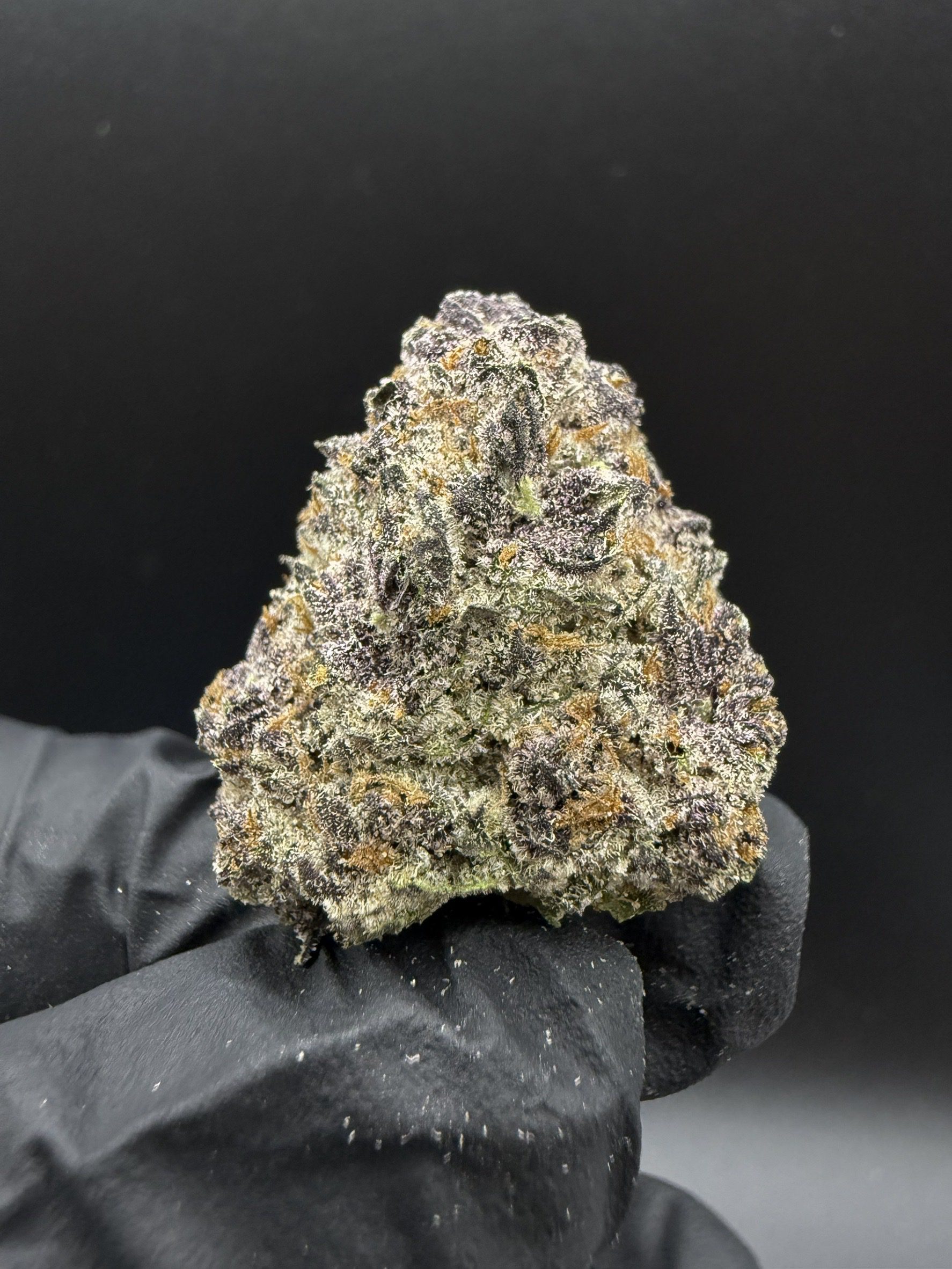 Strawberry Fritter
