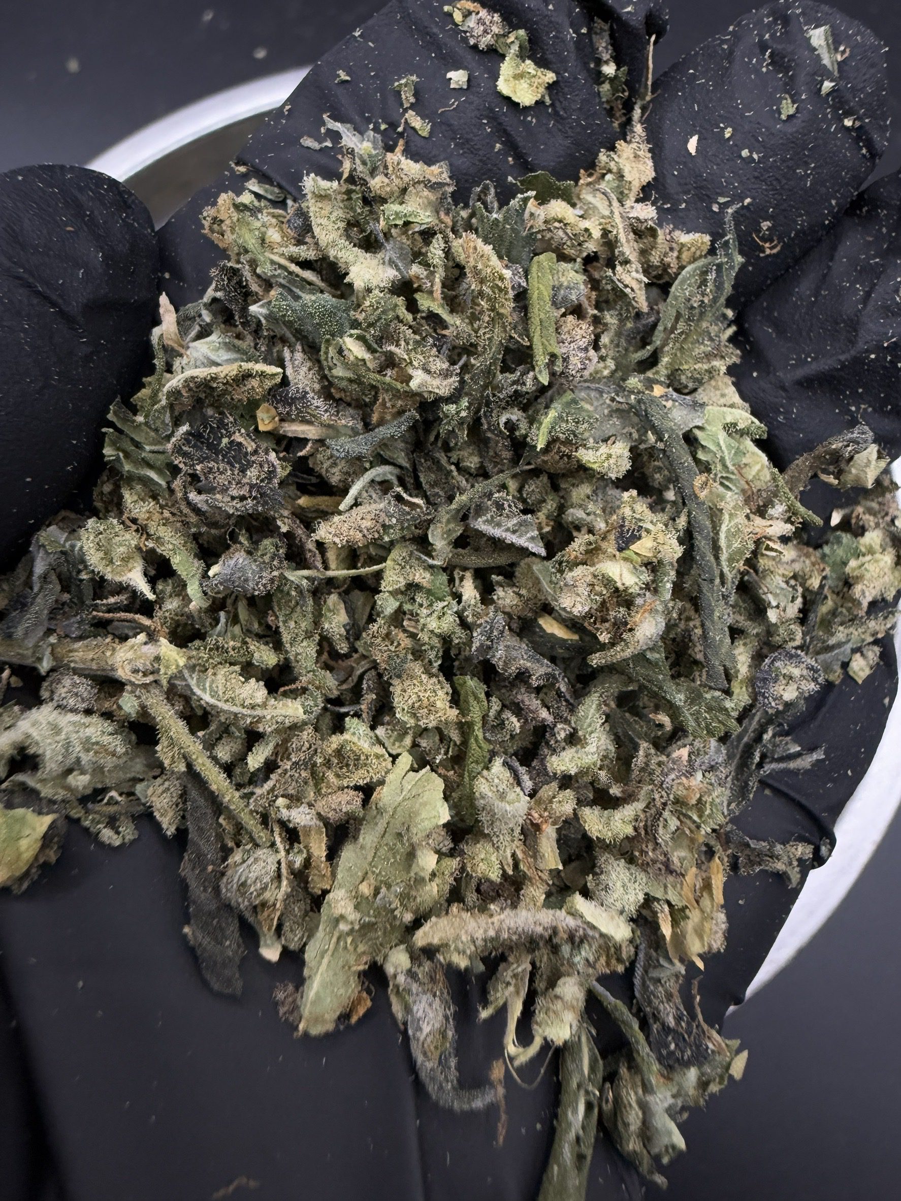 Trim AK-47