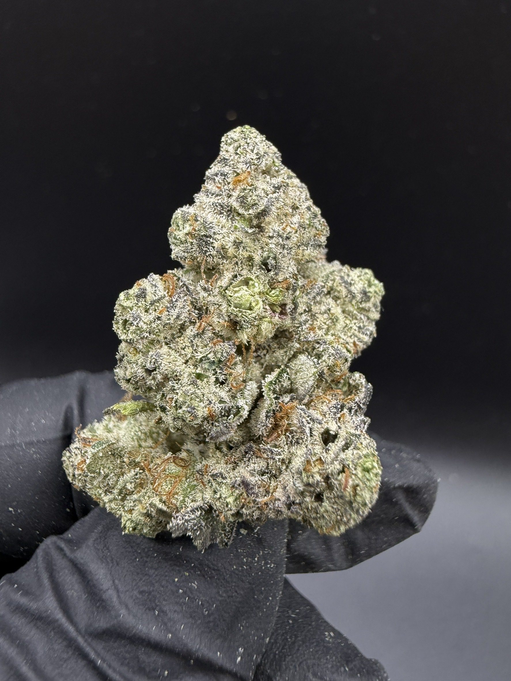 Pink Lemonade