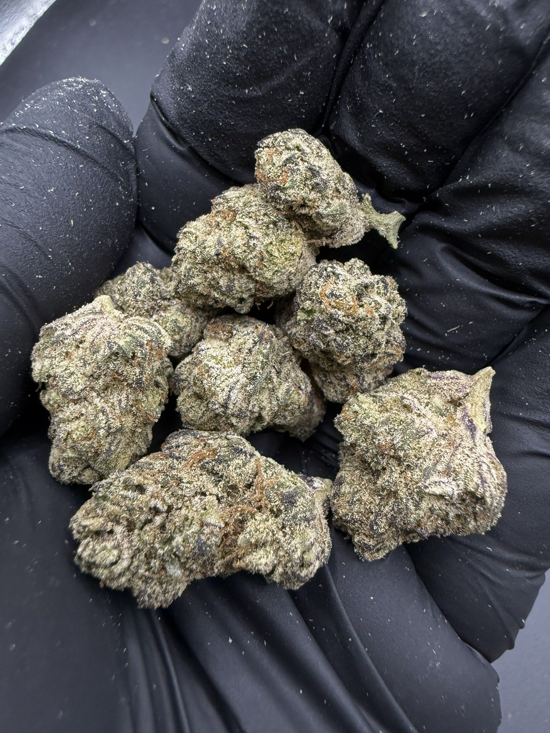 Birthday Cake Kush ( Pop )