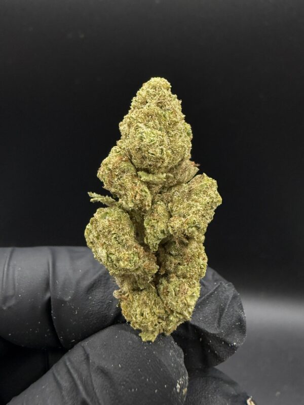 Banana Fritter