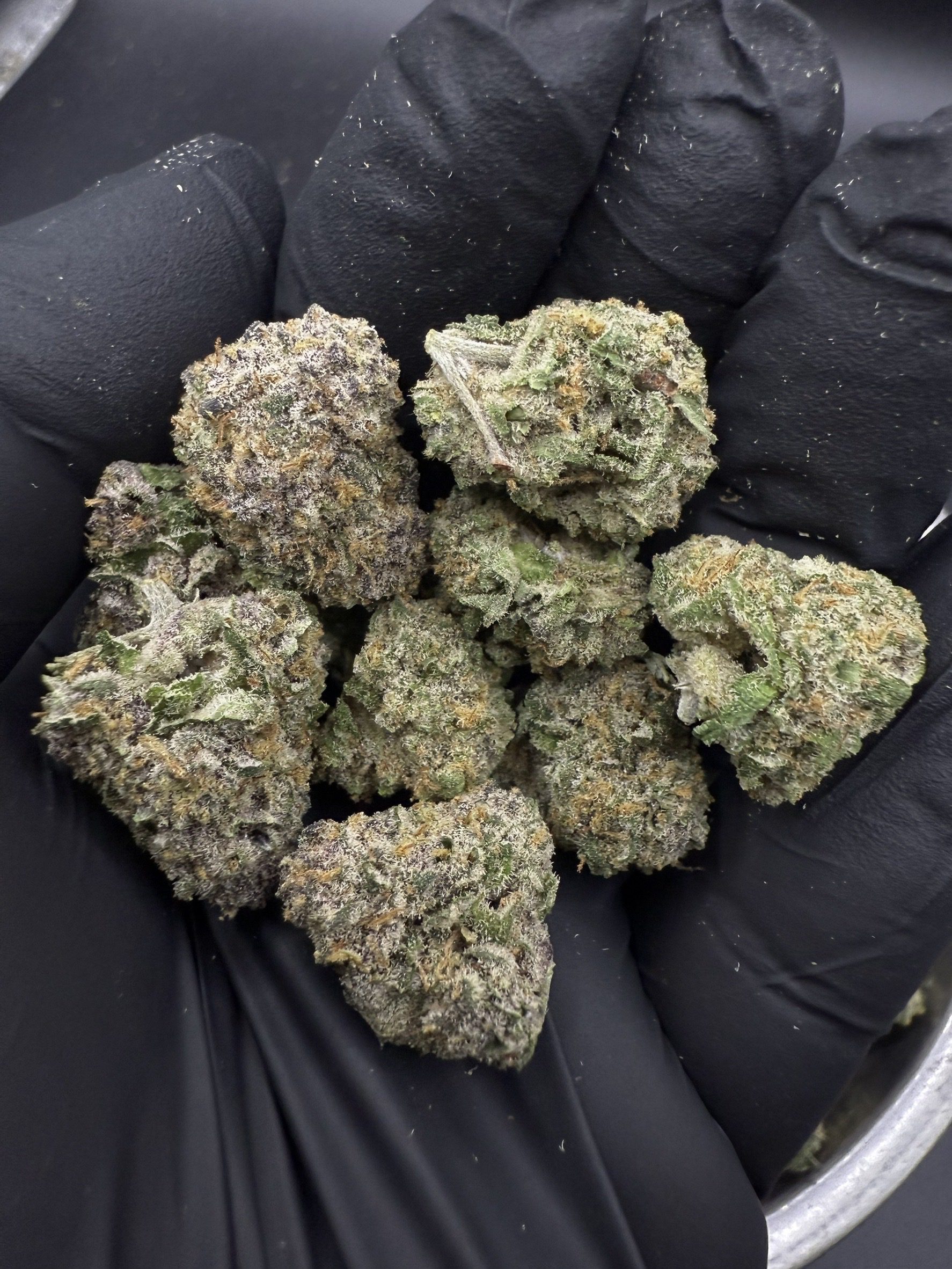 Black Guava