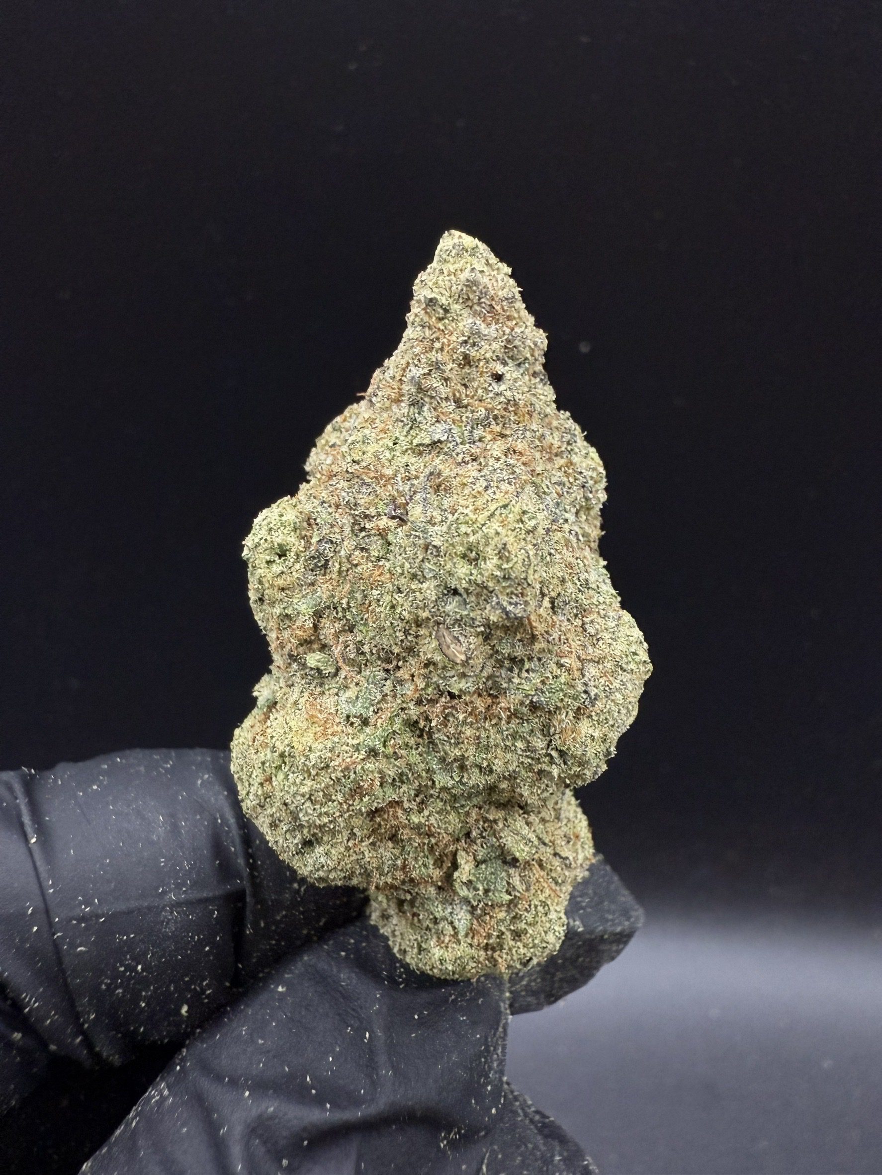 Fruity Punch