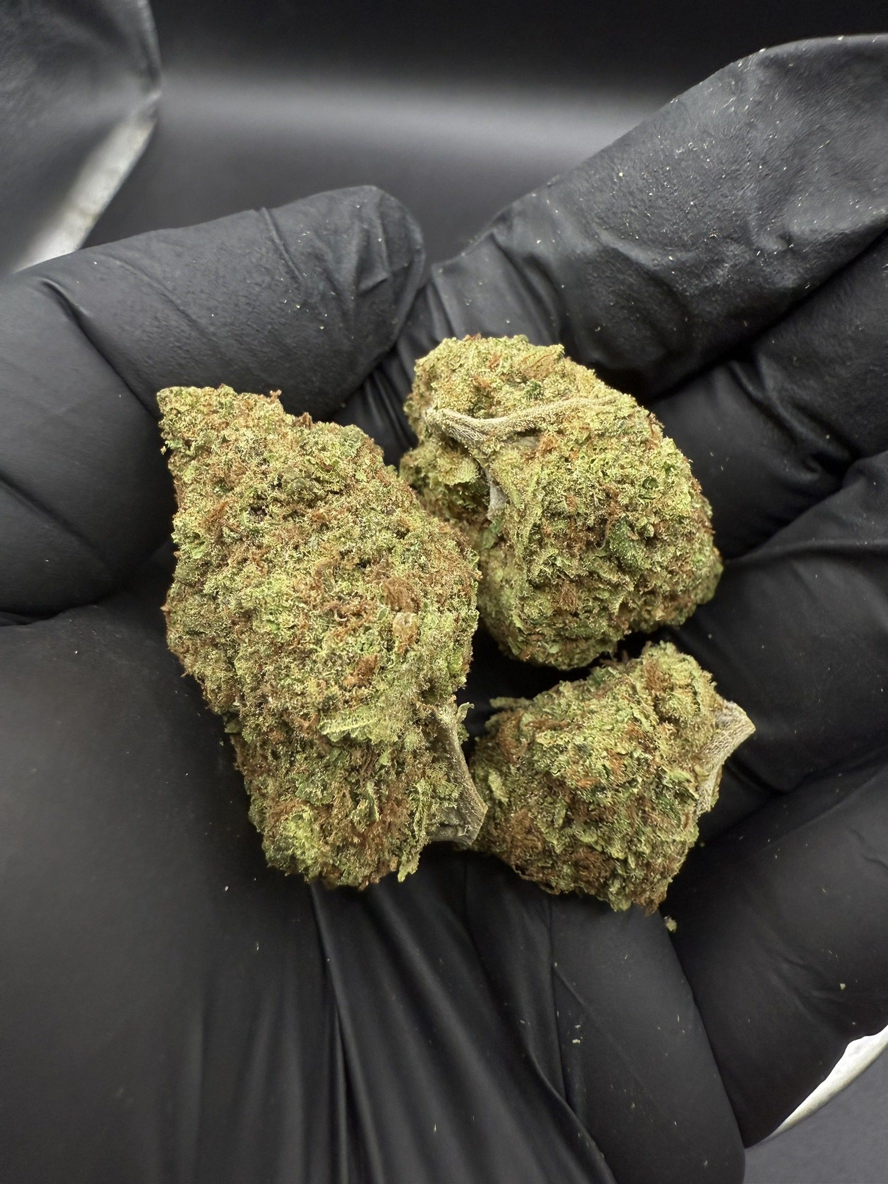 Candyland