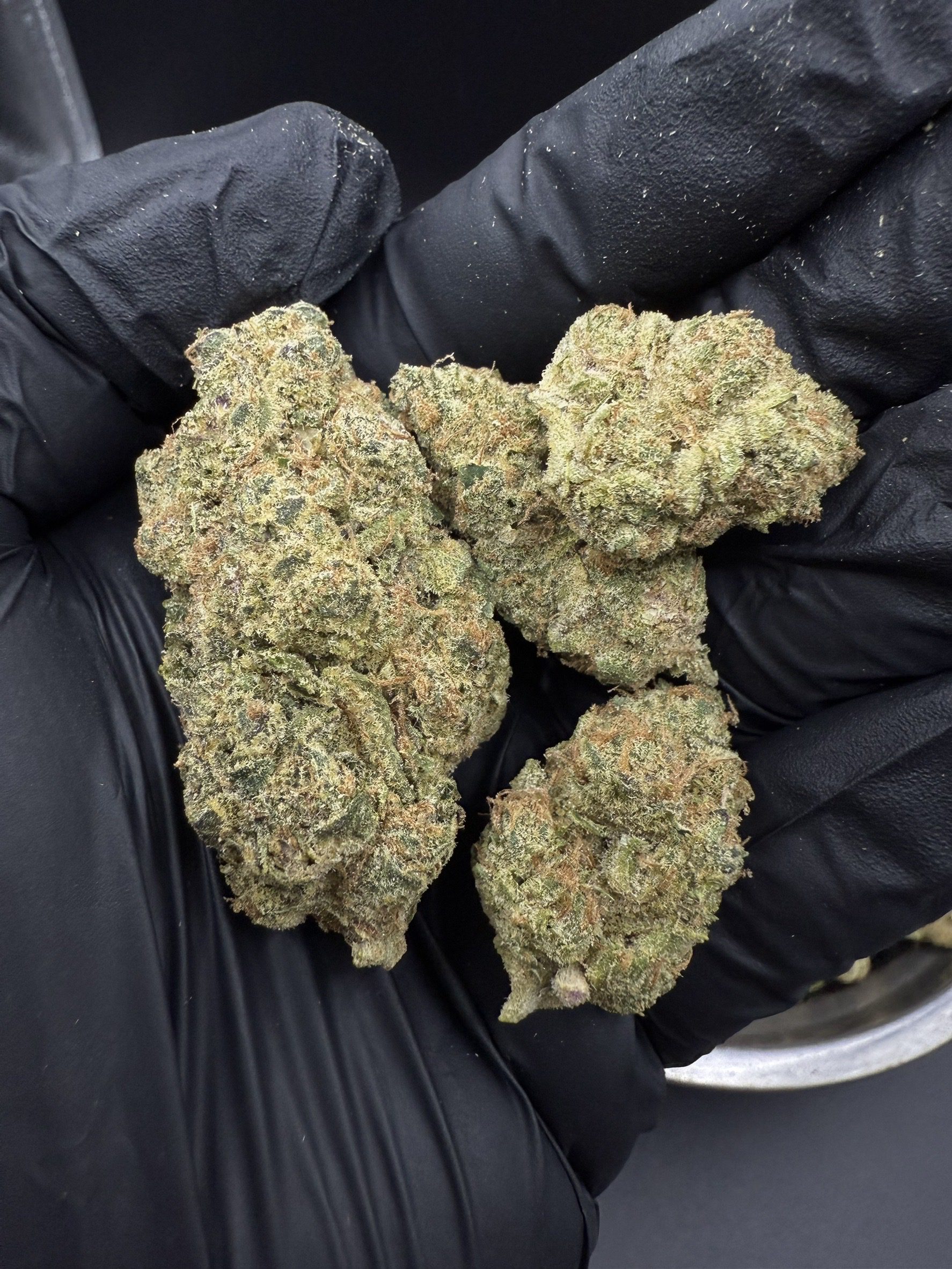 Tangie