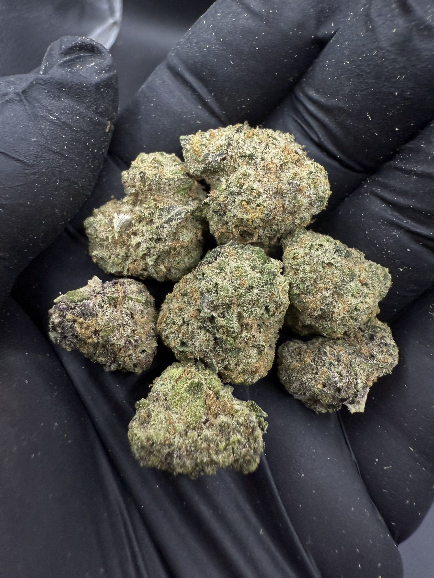 Girl Scout Cookies