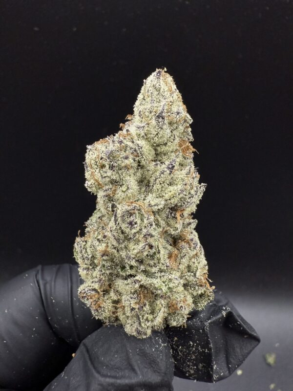 White Inferno
