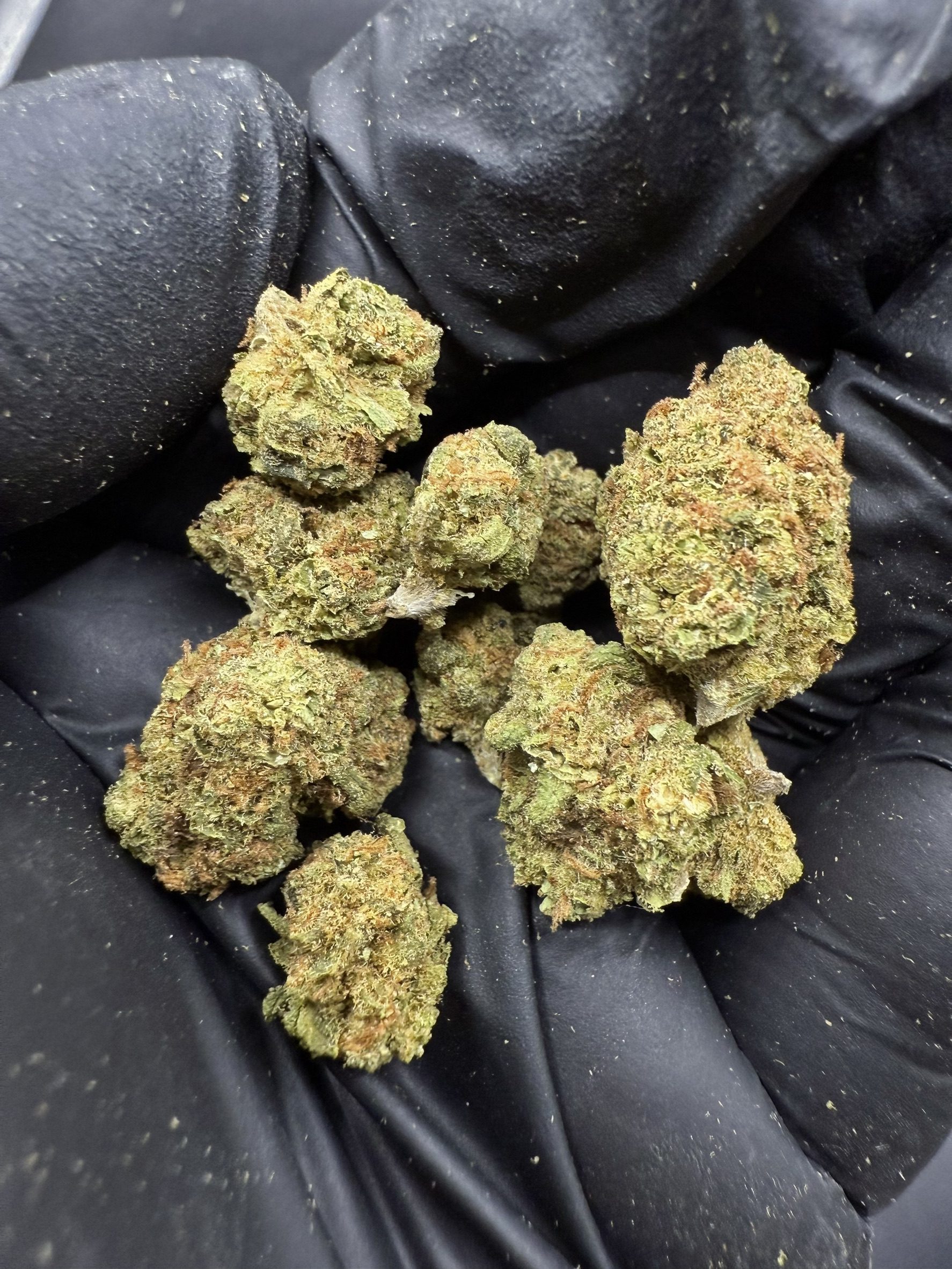 Candyland