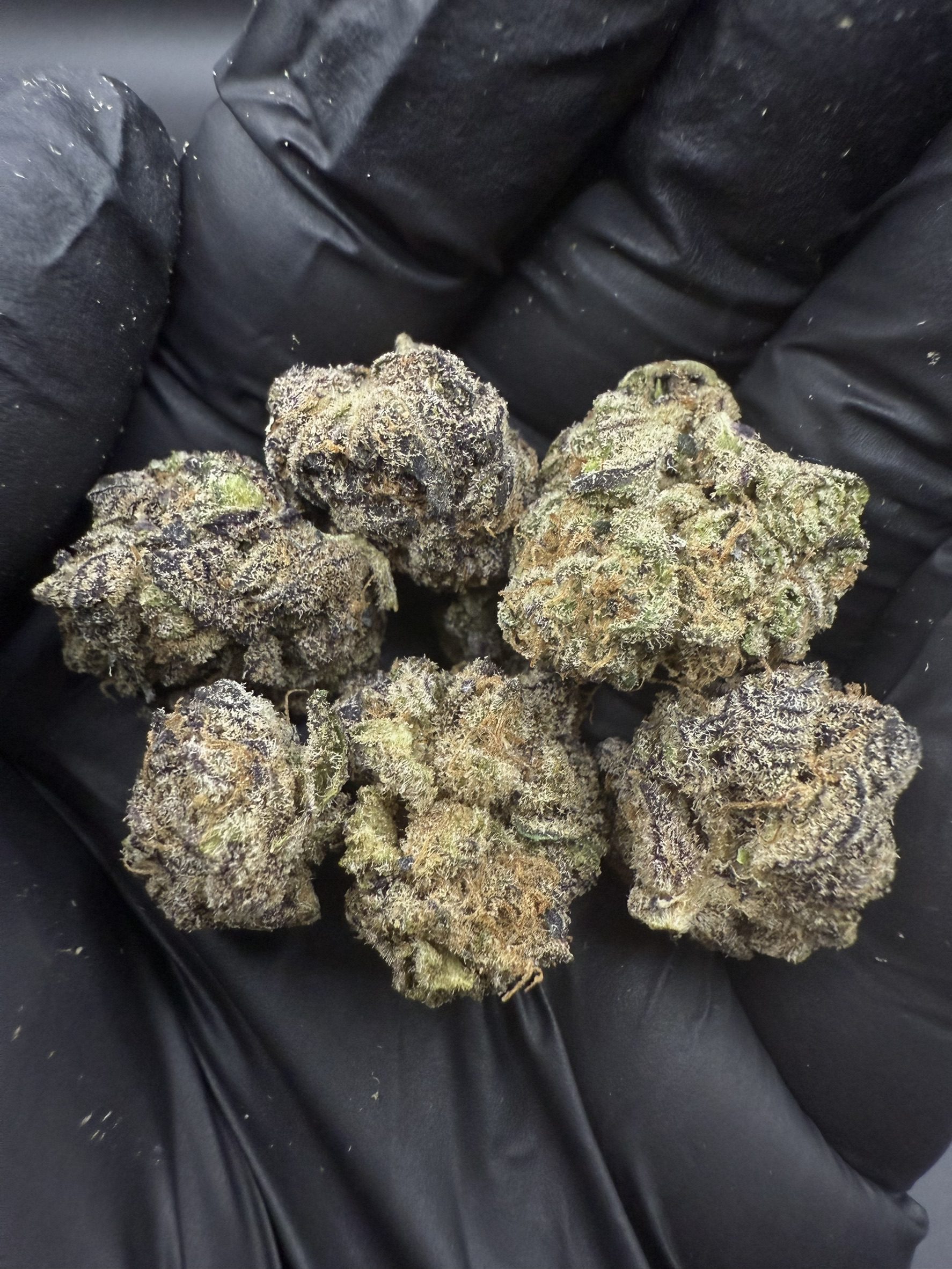 Runtz x Layer Cake