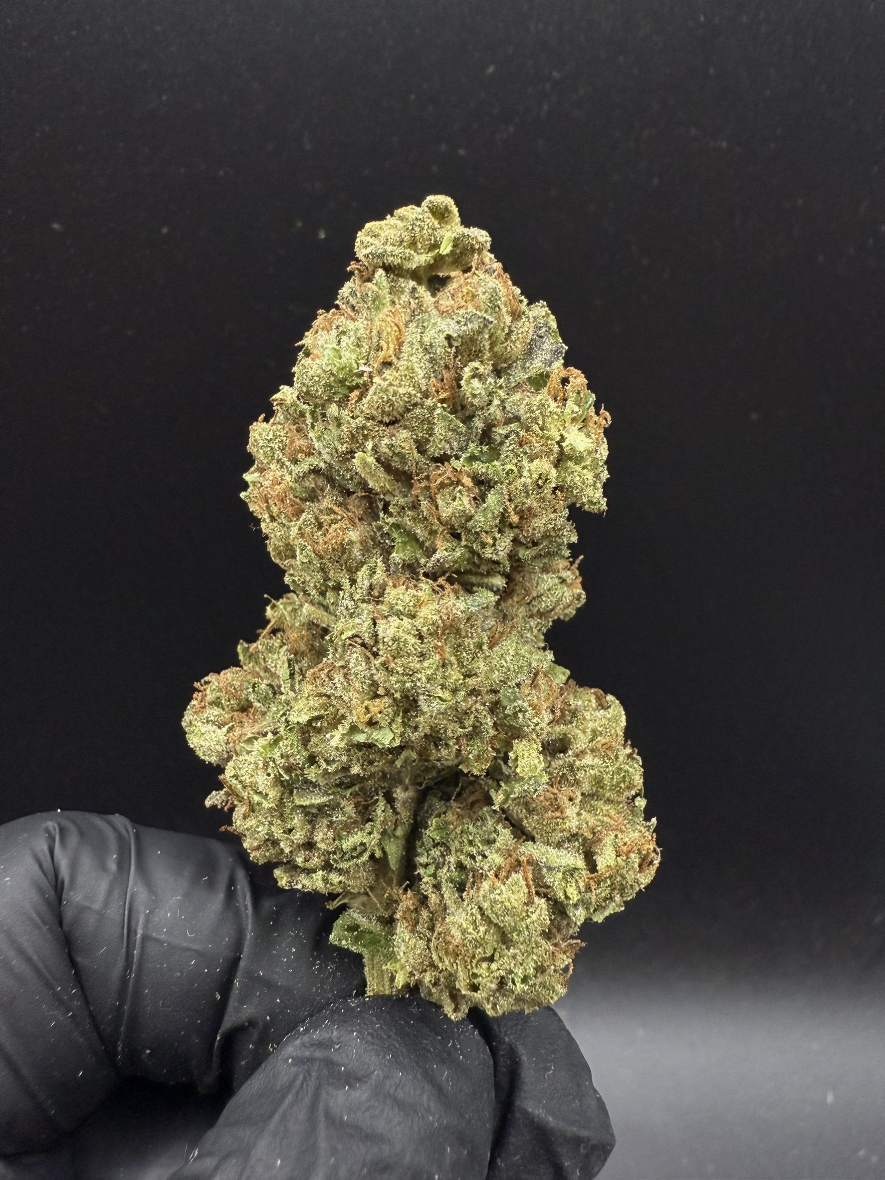 Blue Banana