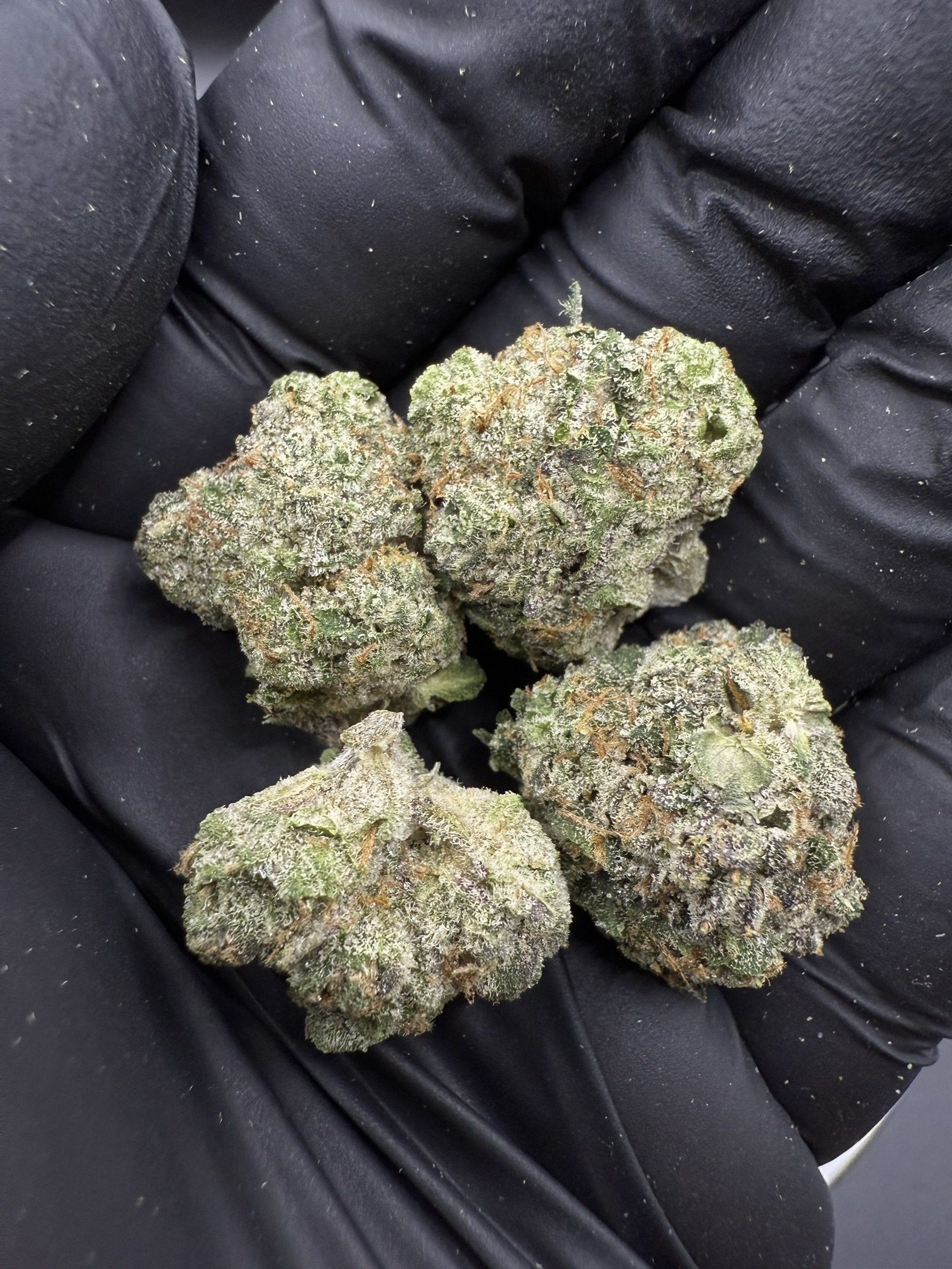 Bubblegum