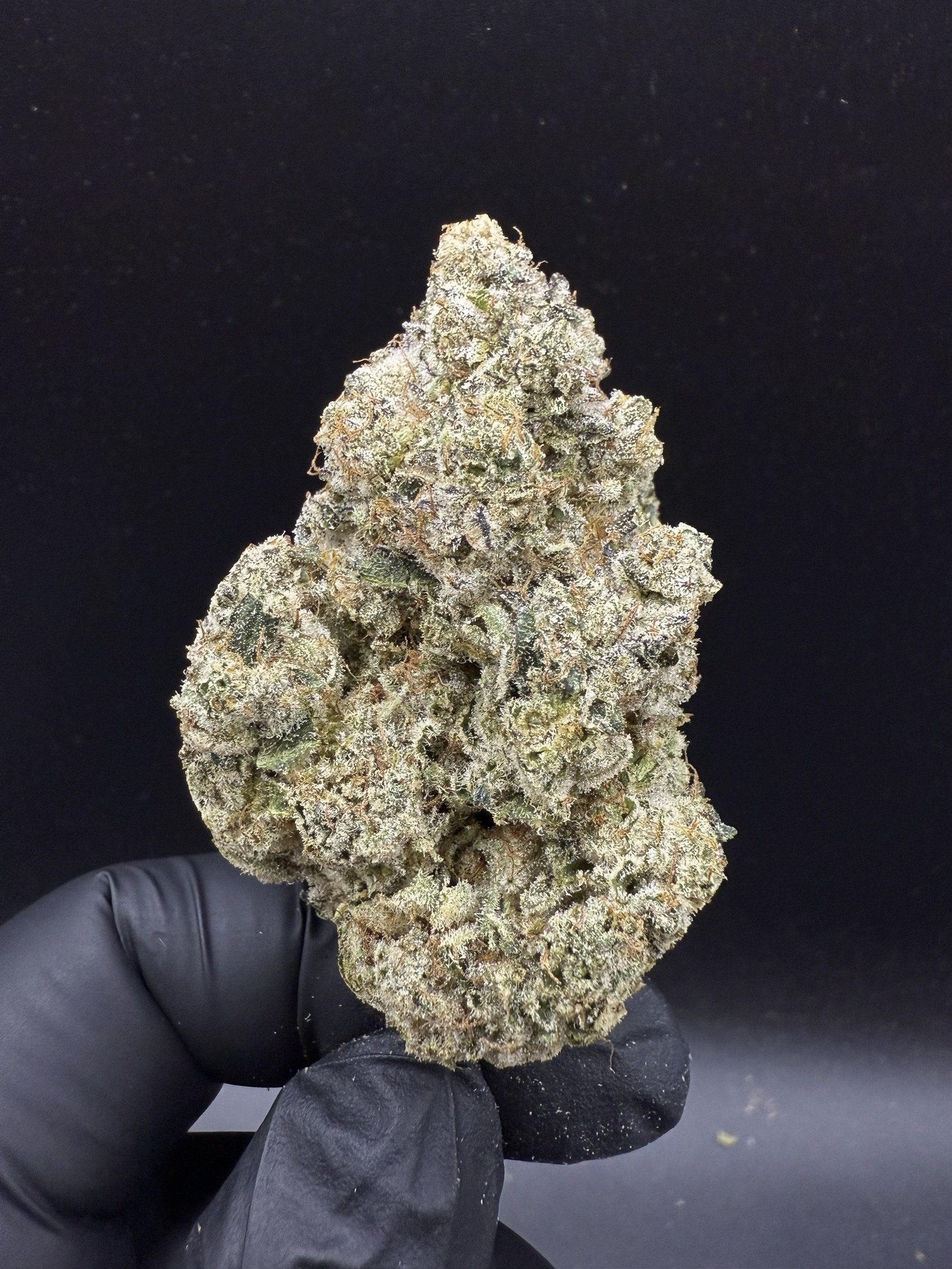 Big Ripper