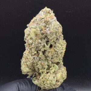 Lemon Cherry Gelato