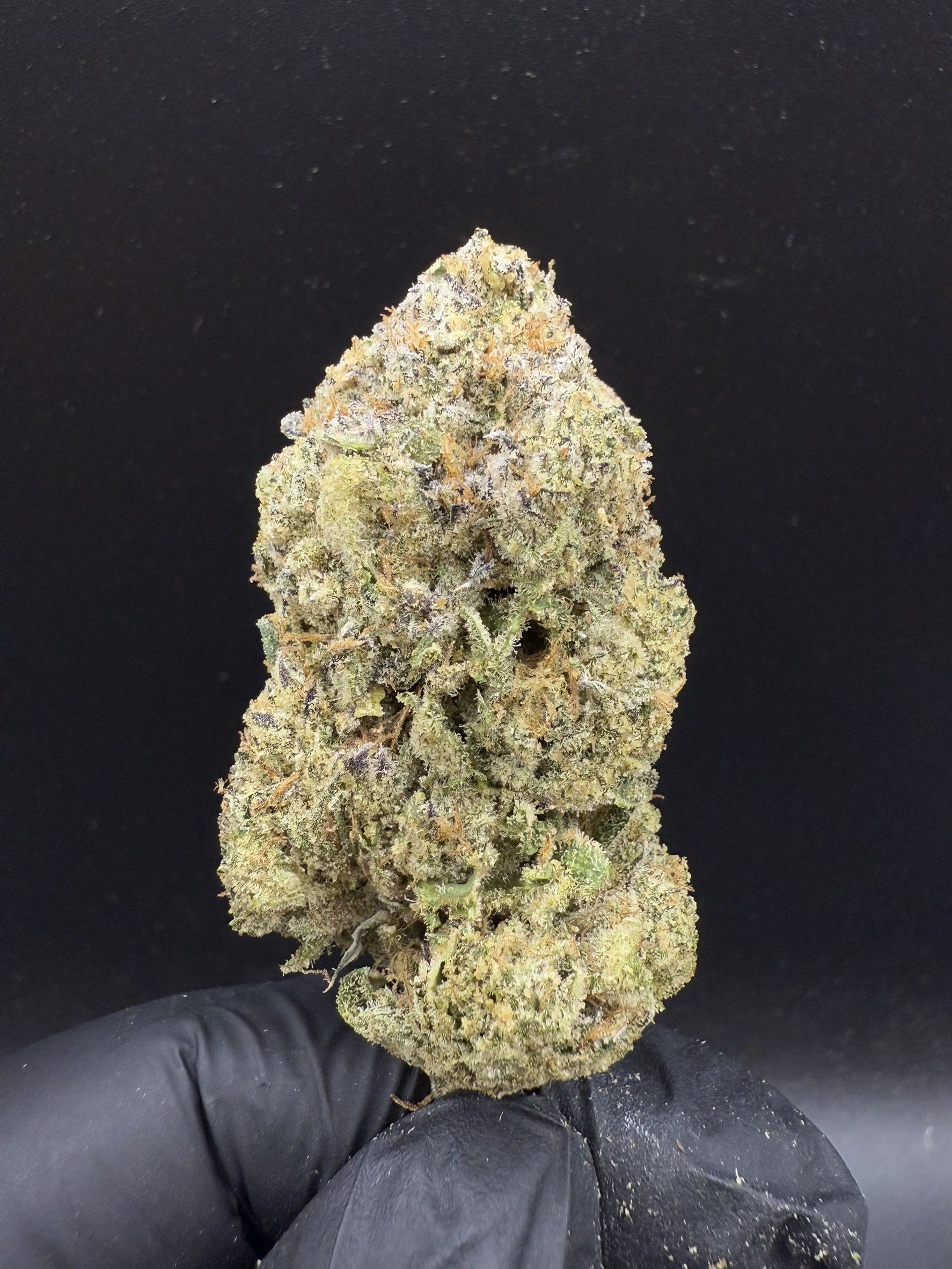 Lemon Cherry Gelato