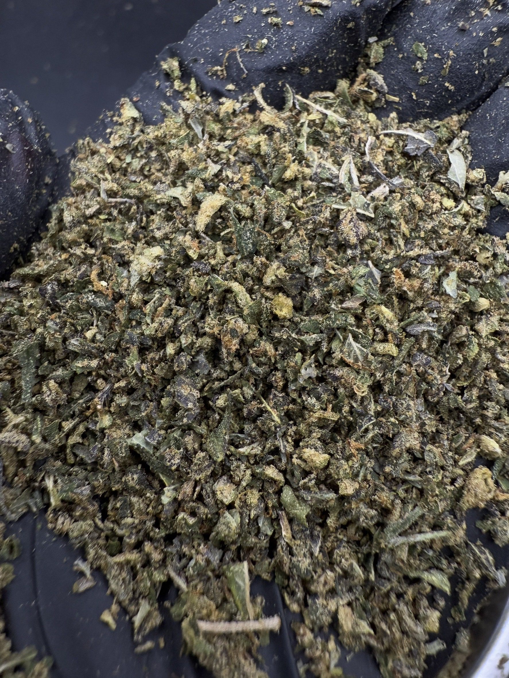 Trim Watermelon