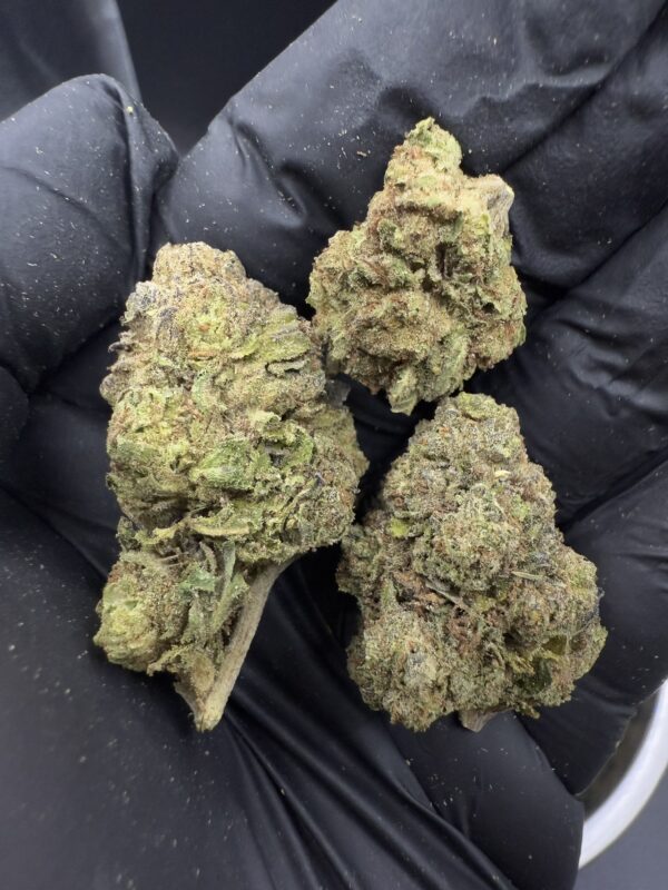 Platinum Jelly