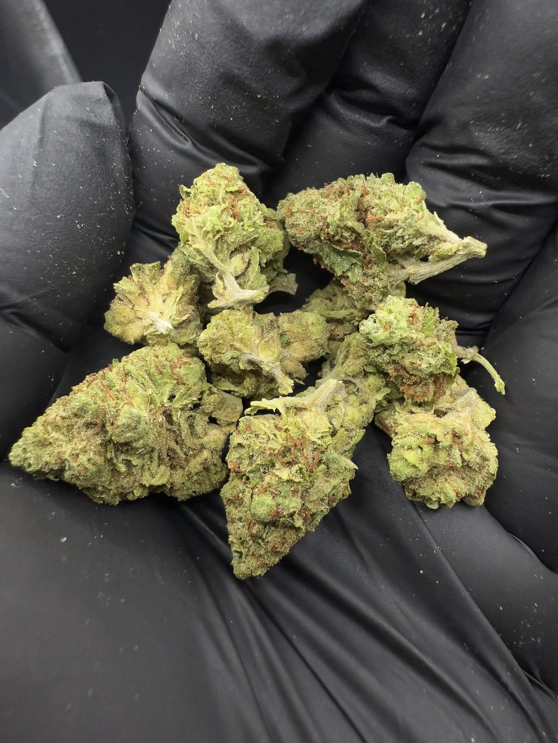 Super Lemon Haze