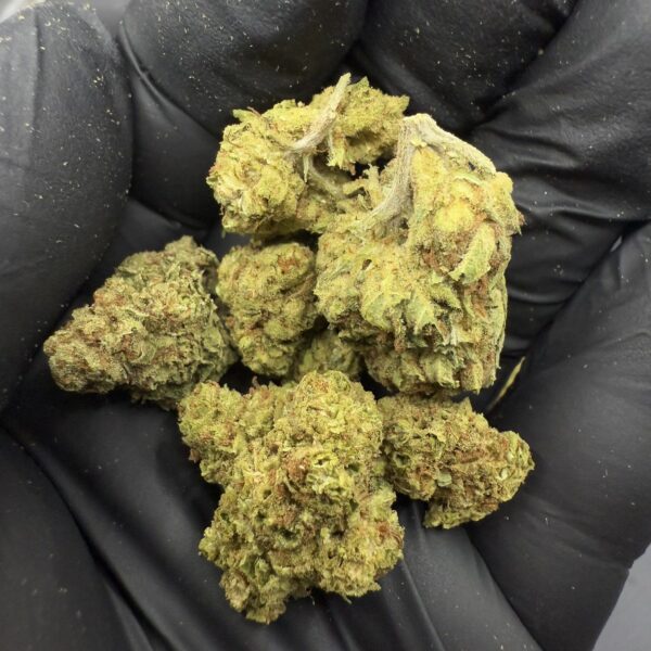 Agent Orange [ Popcorn ]