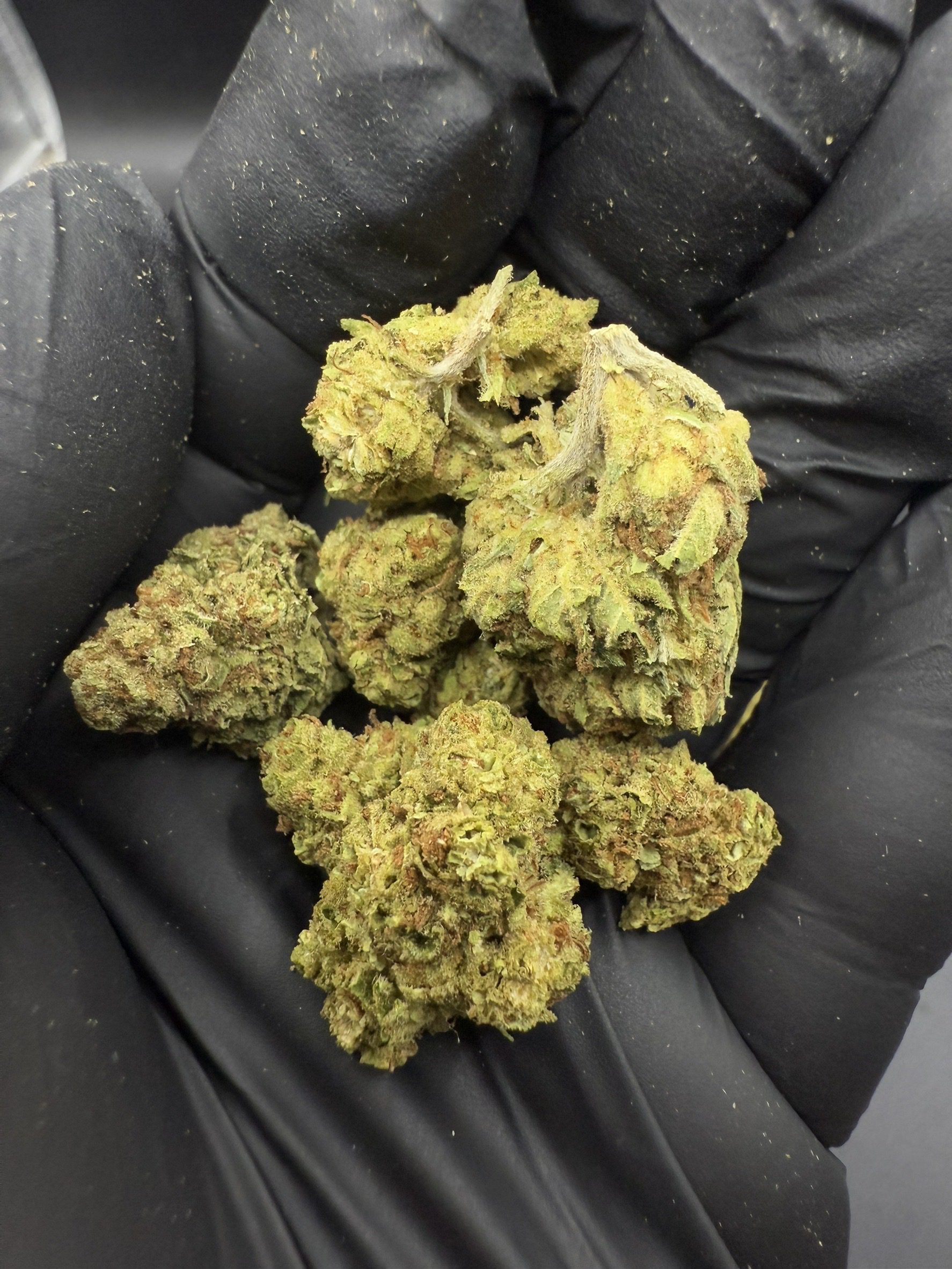 Agent Orange
