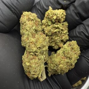 Agent Orange