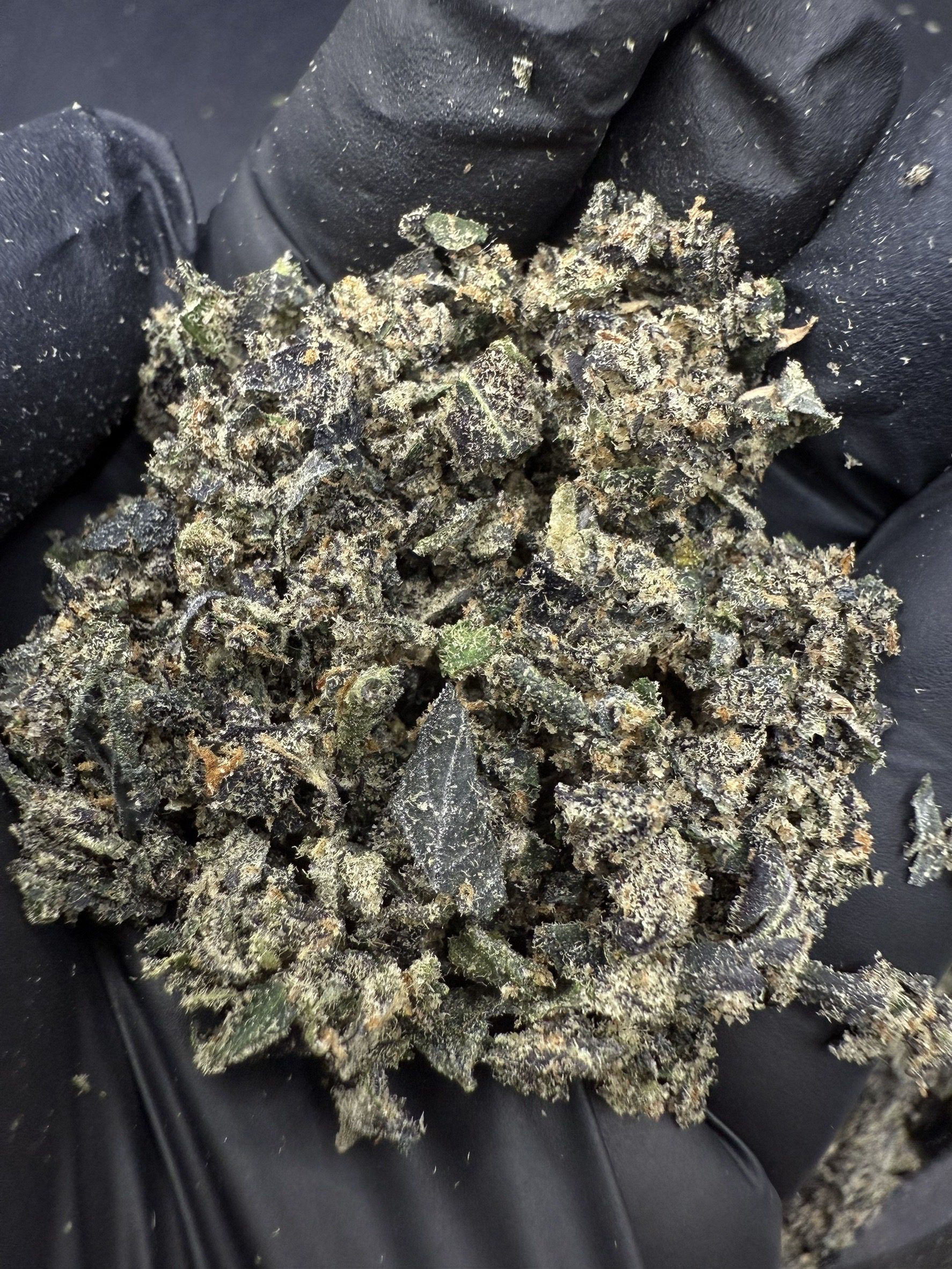 Trim Gunpowder