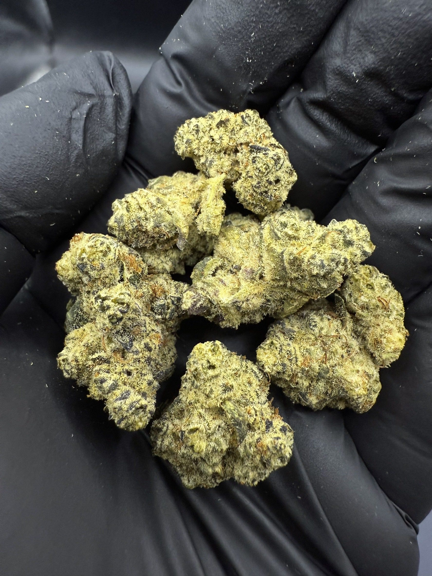 Pink Lemonade