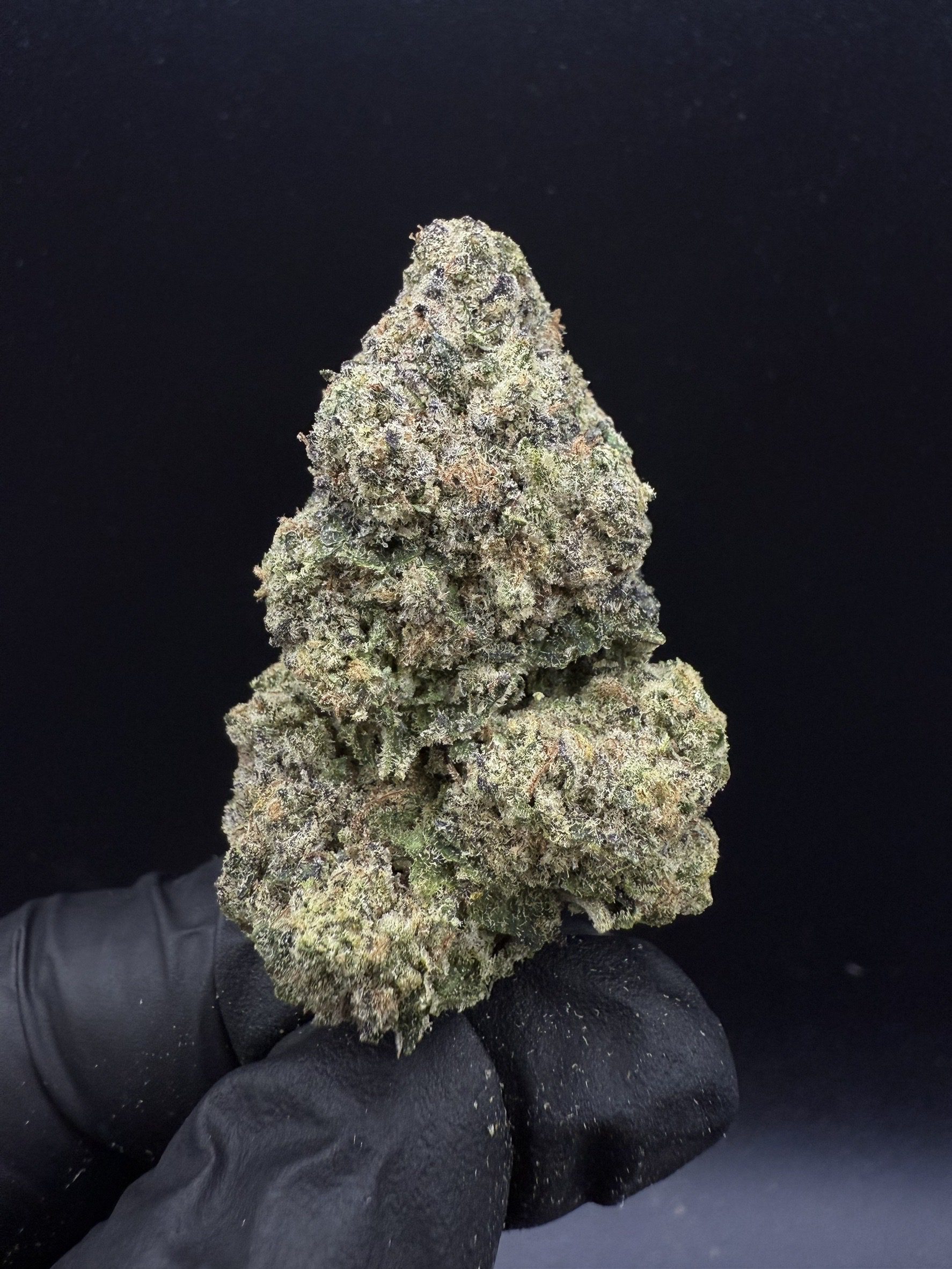 Gucci OG