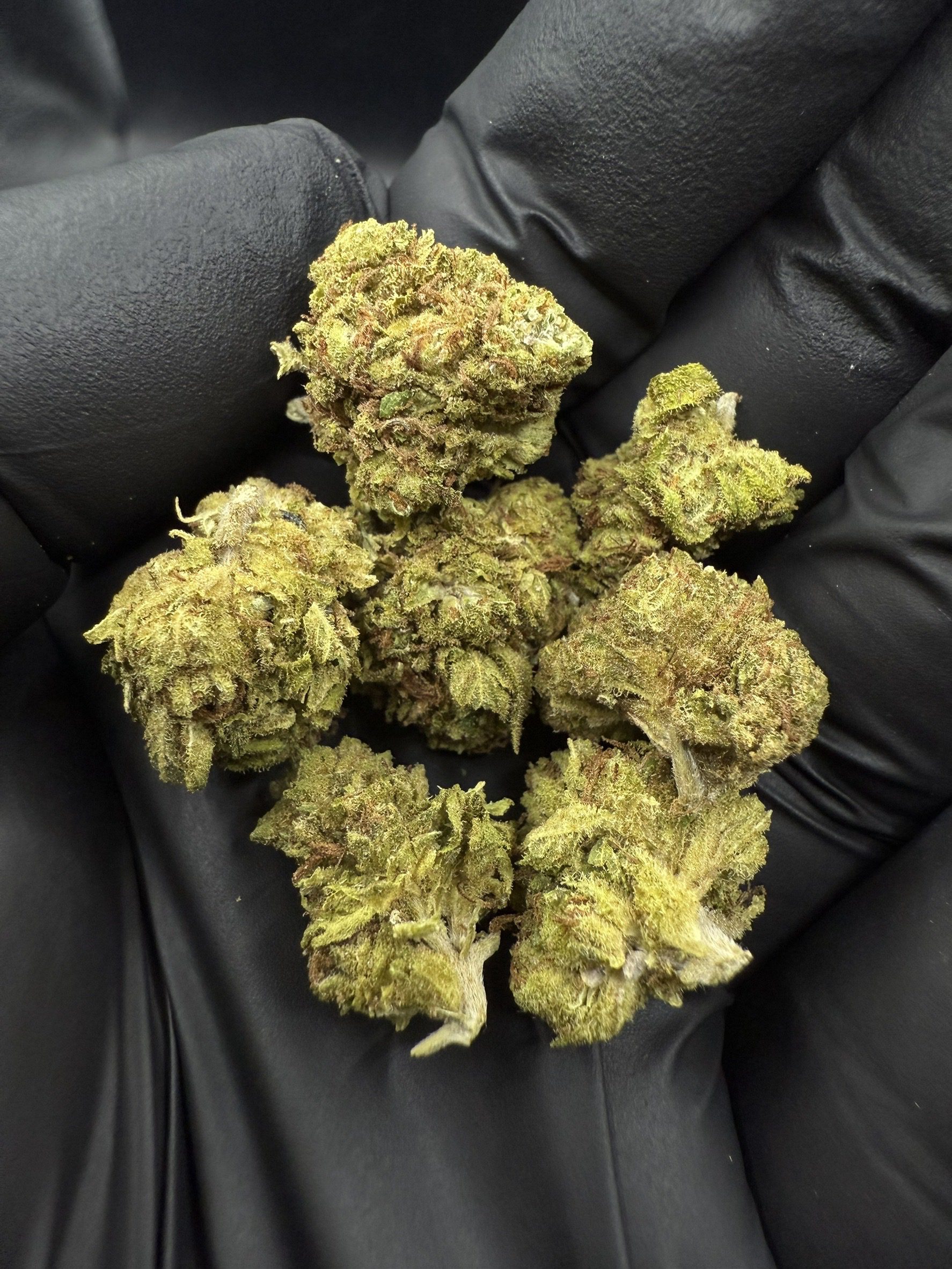 Sour Diesel