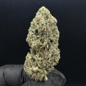 King's Kush