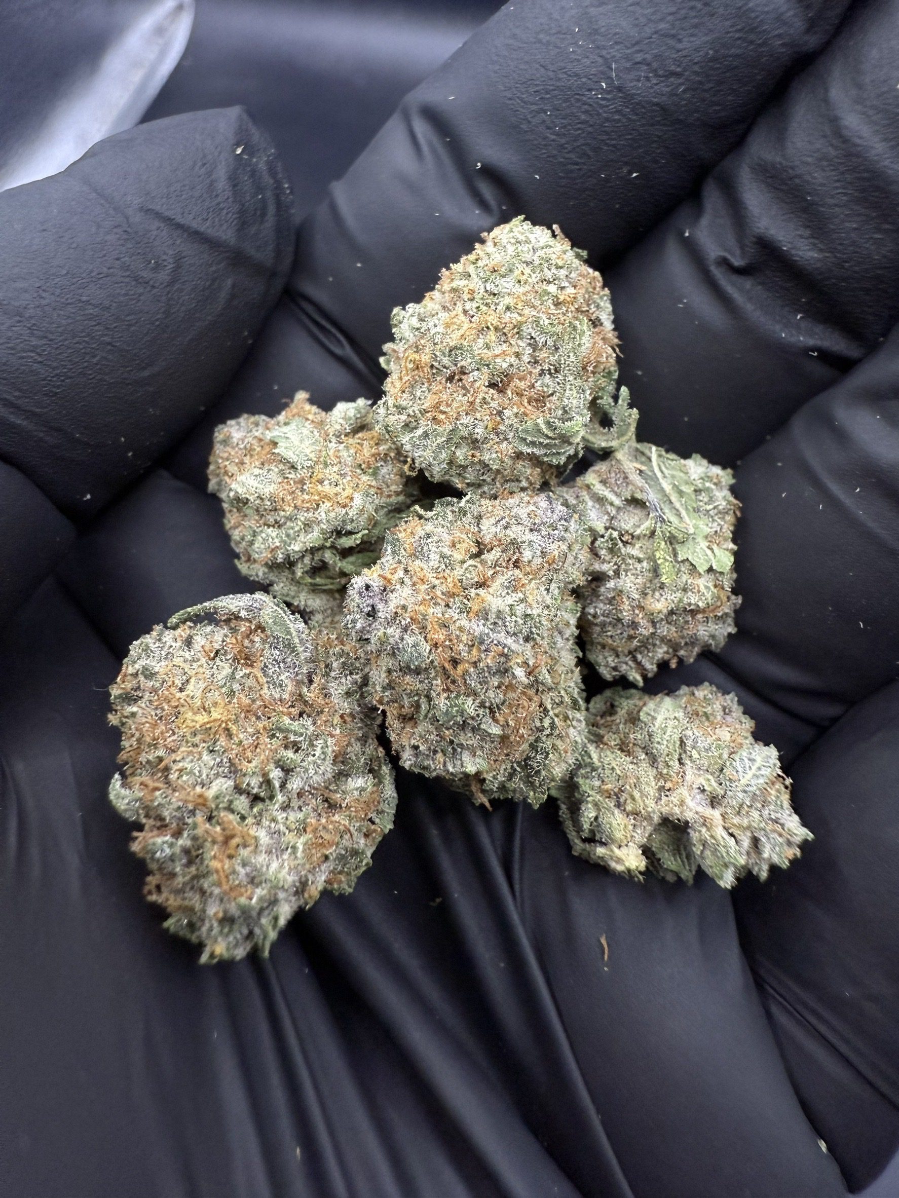King Kush Breath