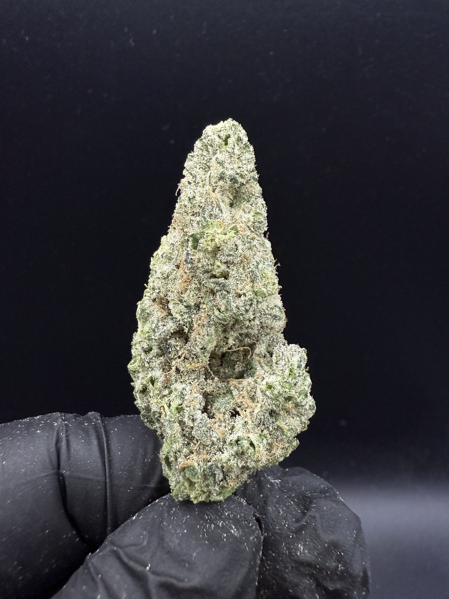 Slumber Gum S1