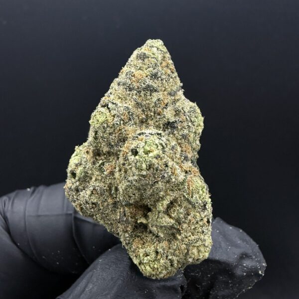 Alien Mints [ PGKB Grower ]