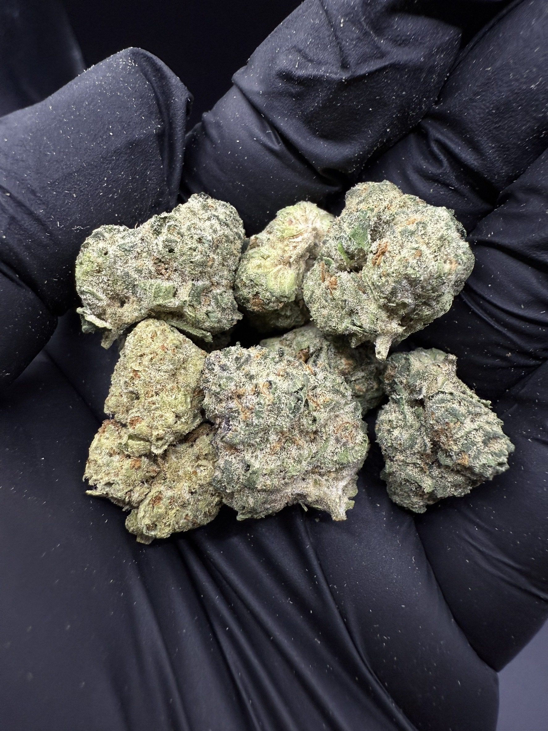 OG Kush