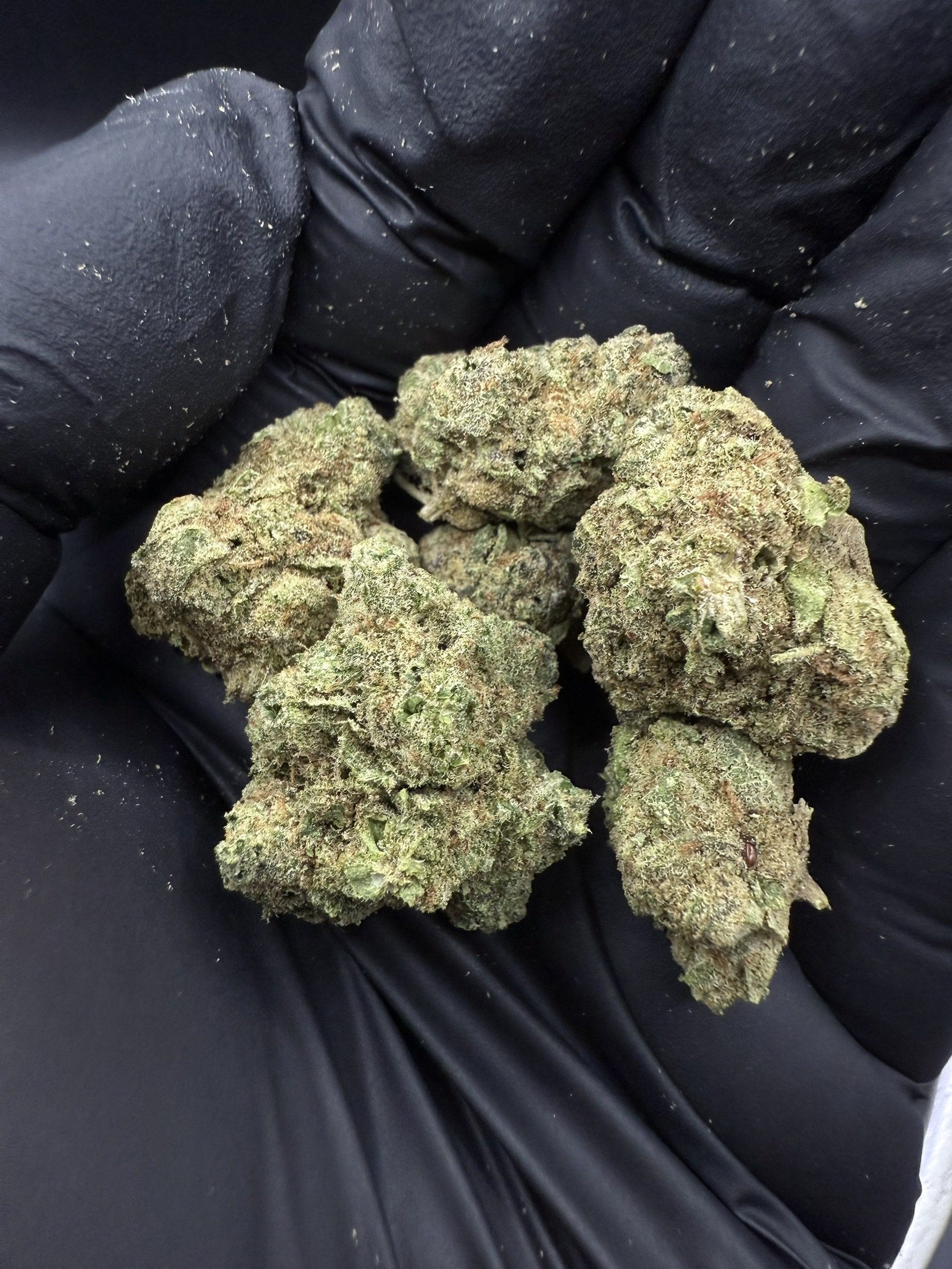 Chemdawg