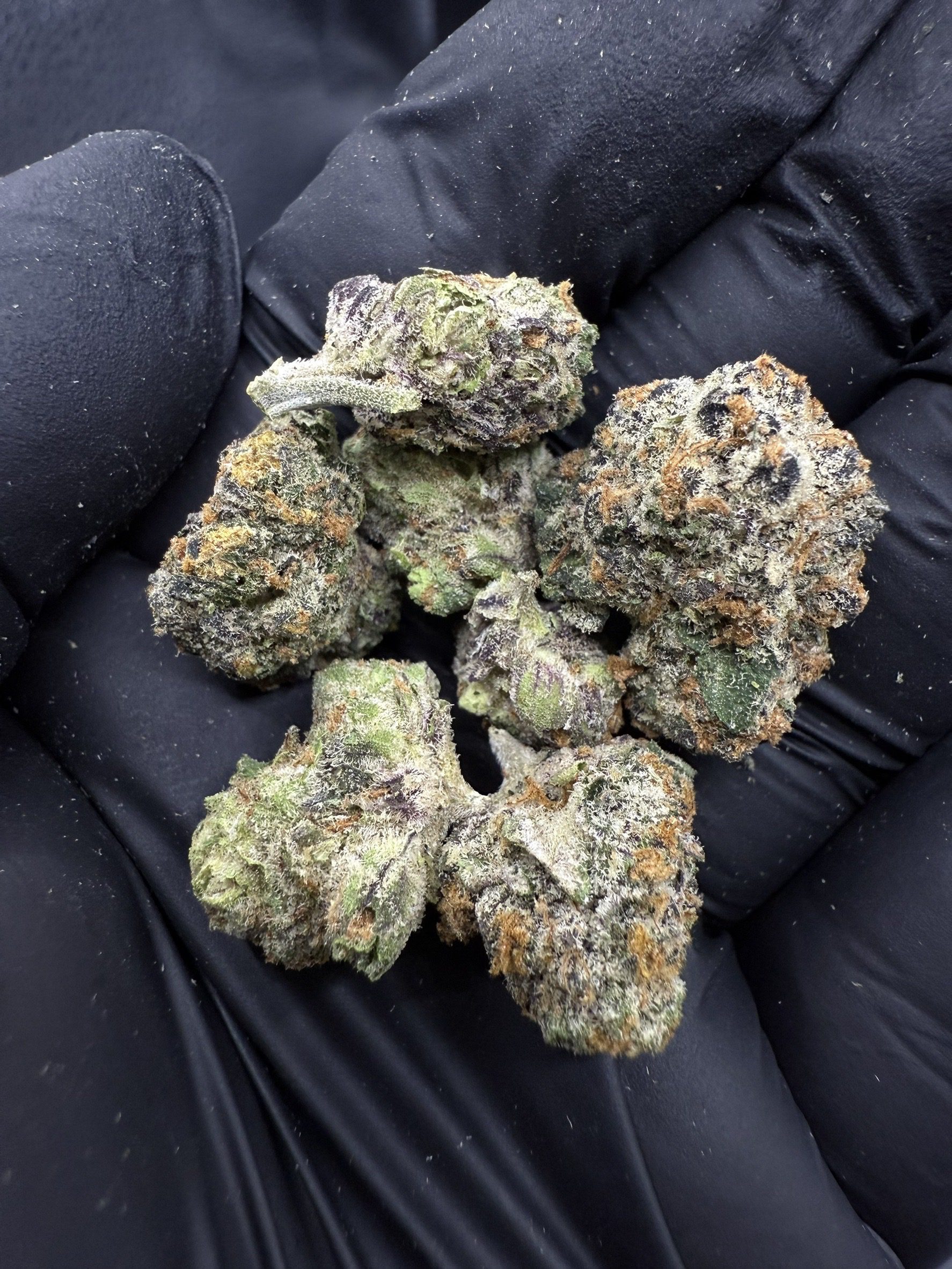 Grape Pie