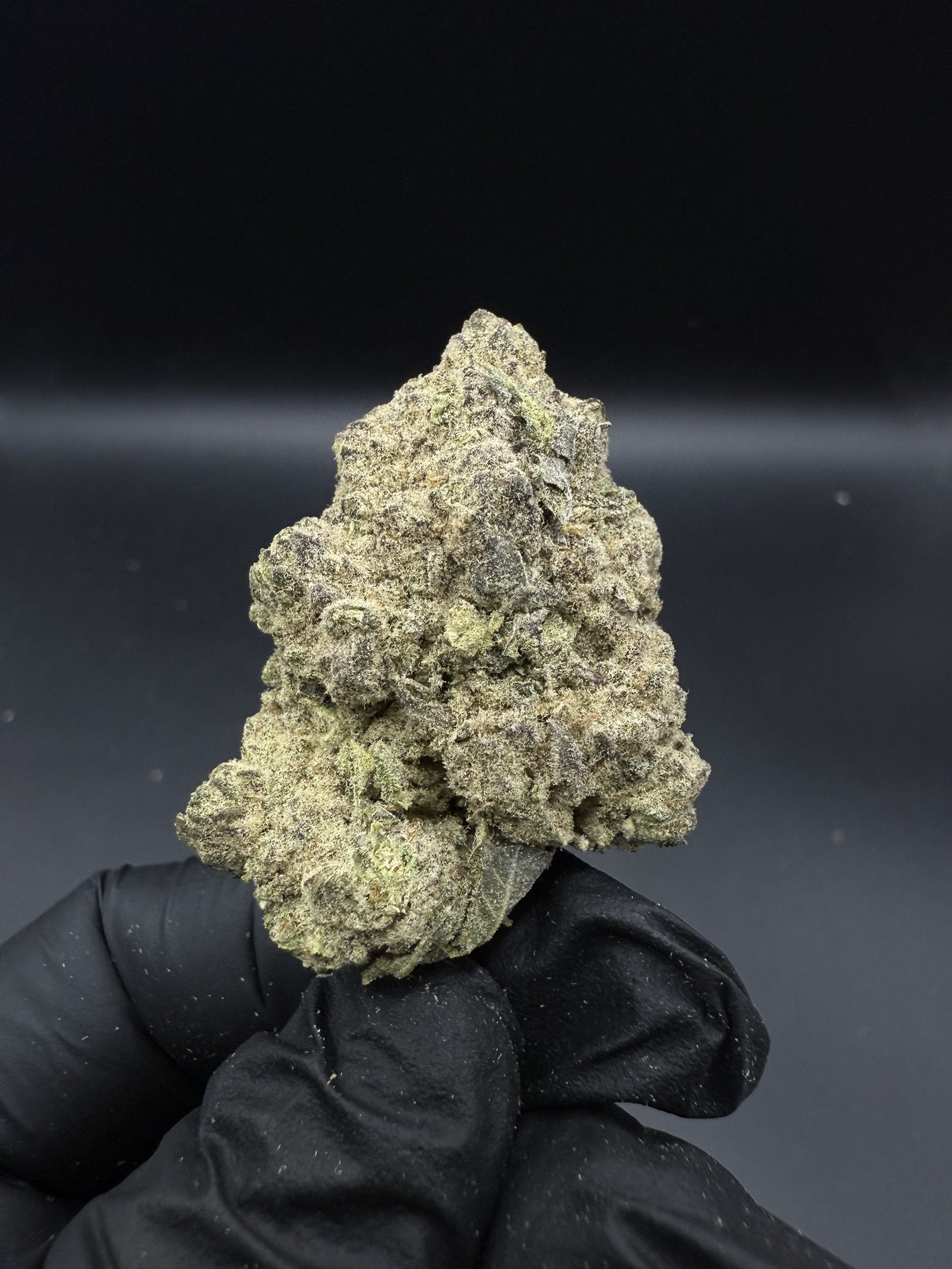 Chocolate Chunk