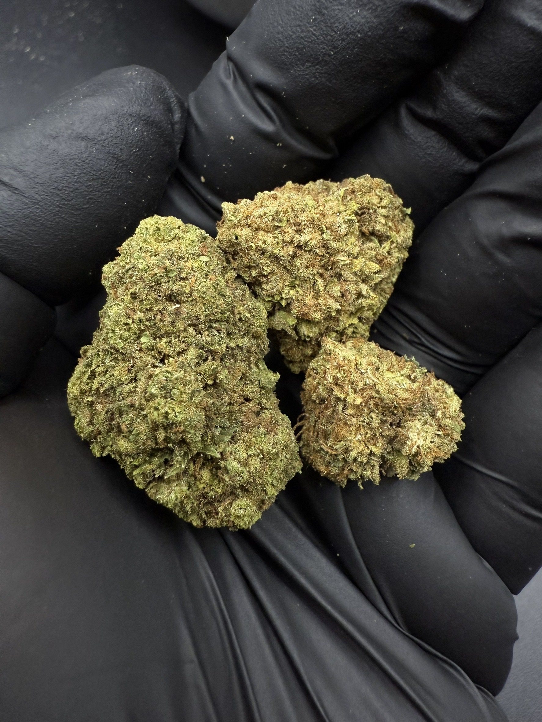 Black Cherry Punch