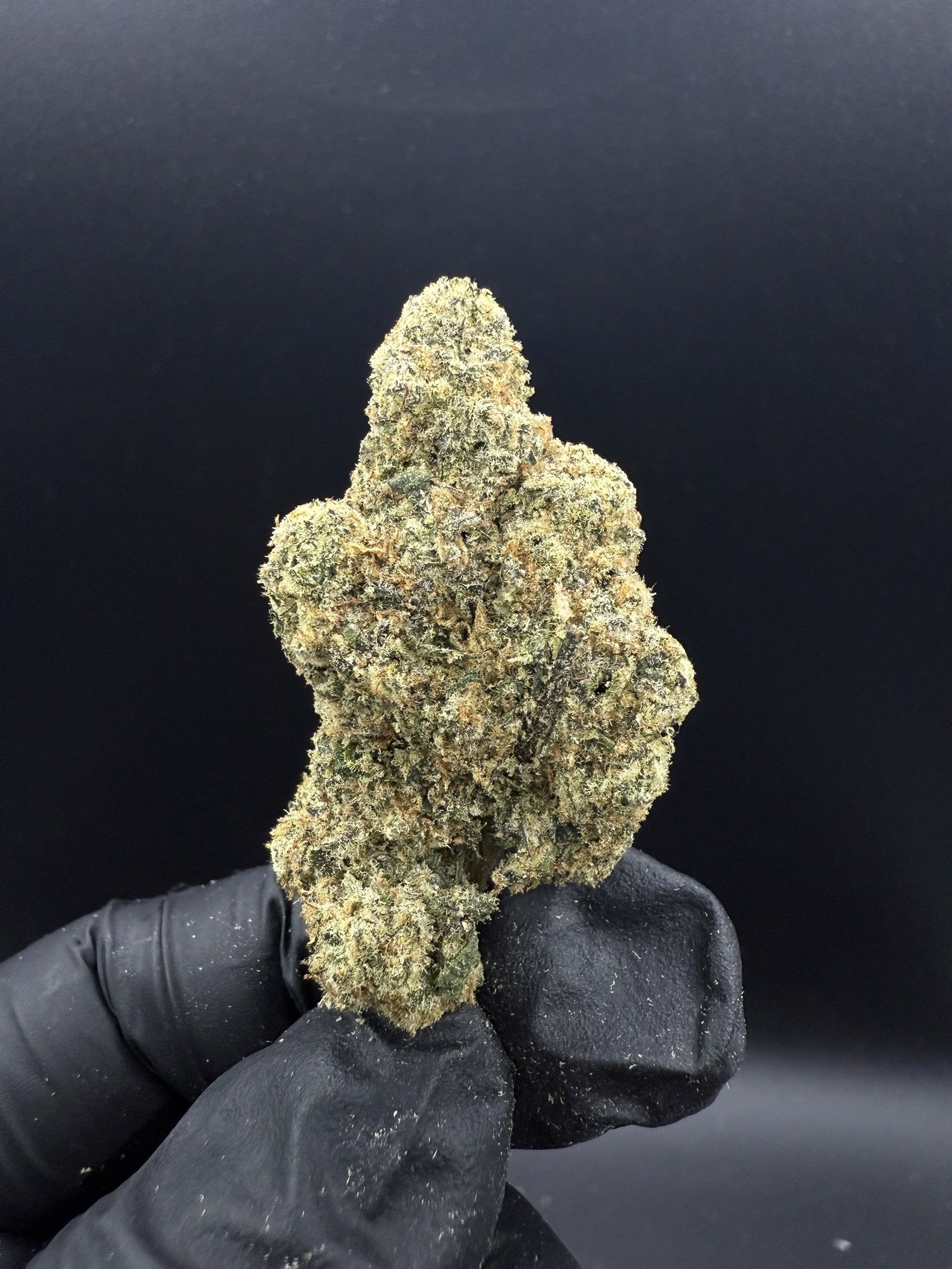 Tangerine Zkittle